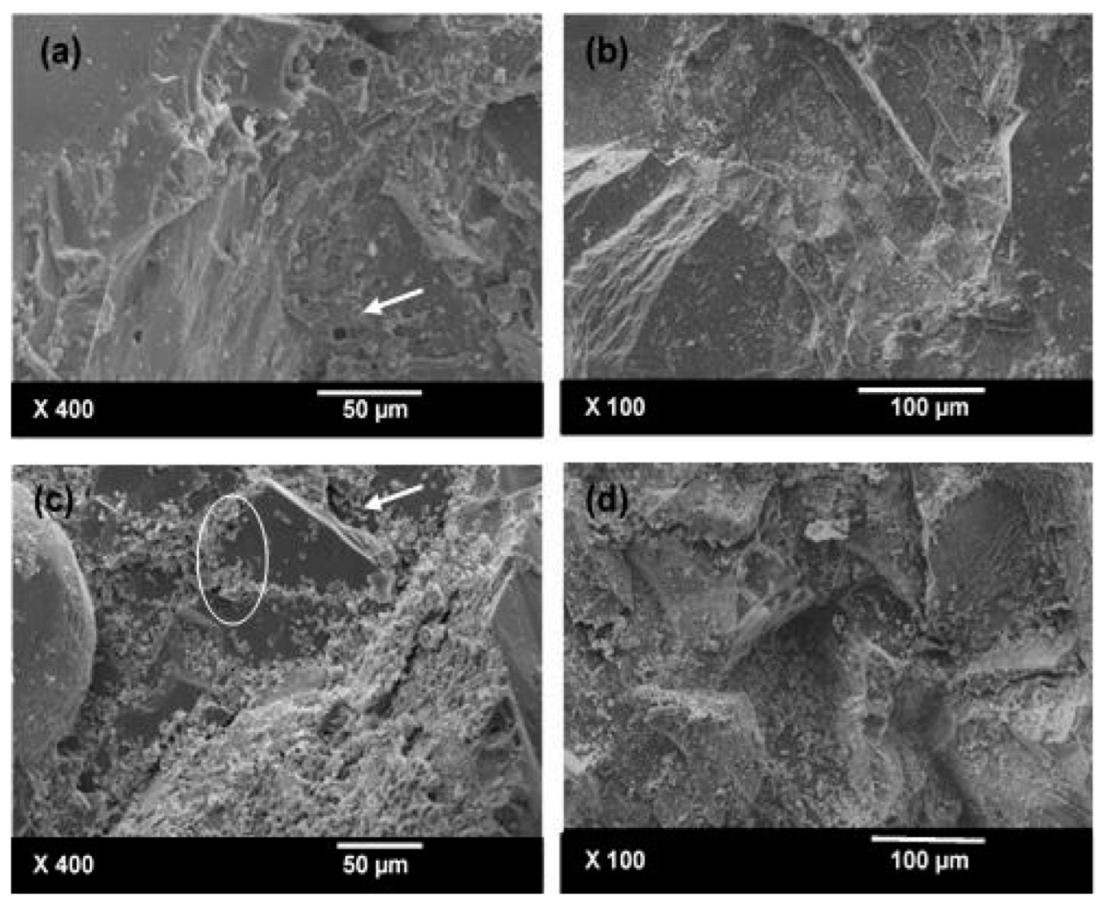 Sustainability 14 06380 g004