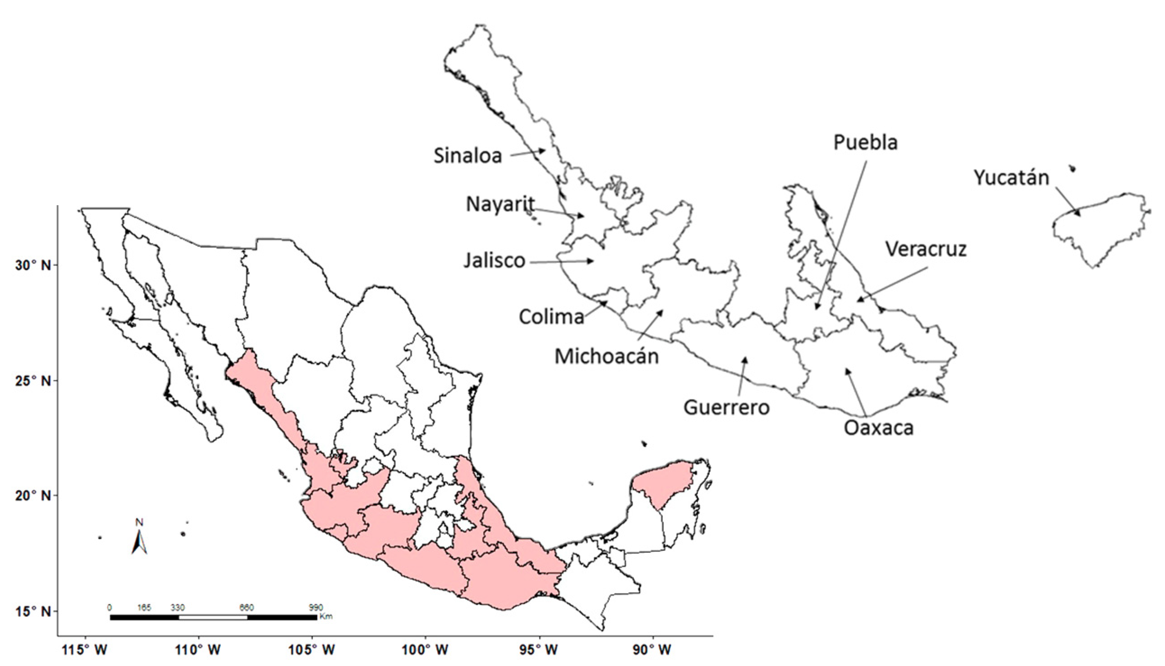 Sustainability 14 06383 g001