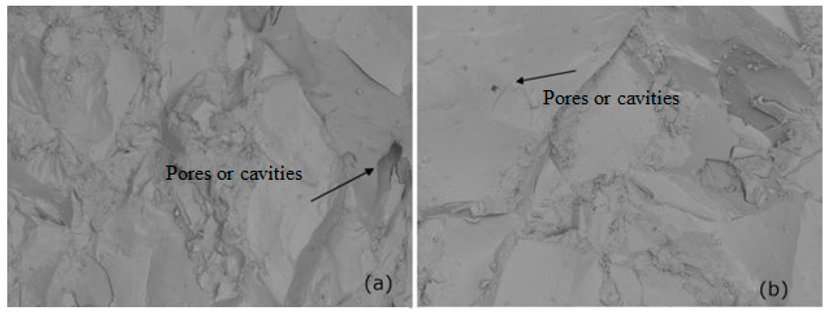 Sustainability 14 06388 g006