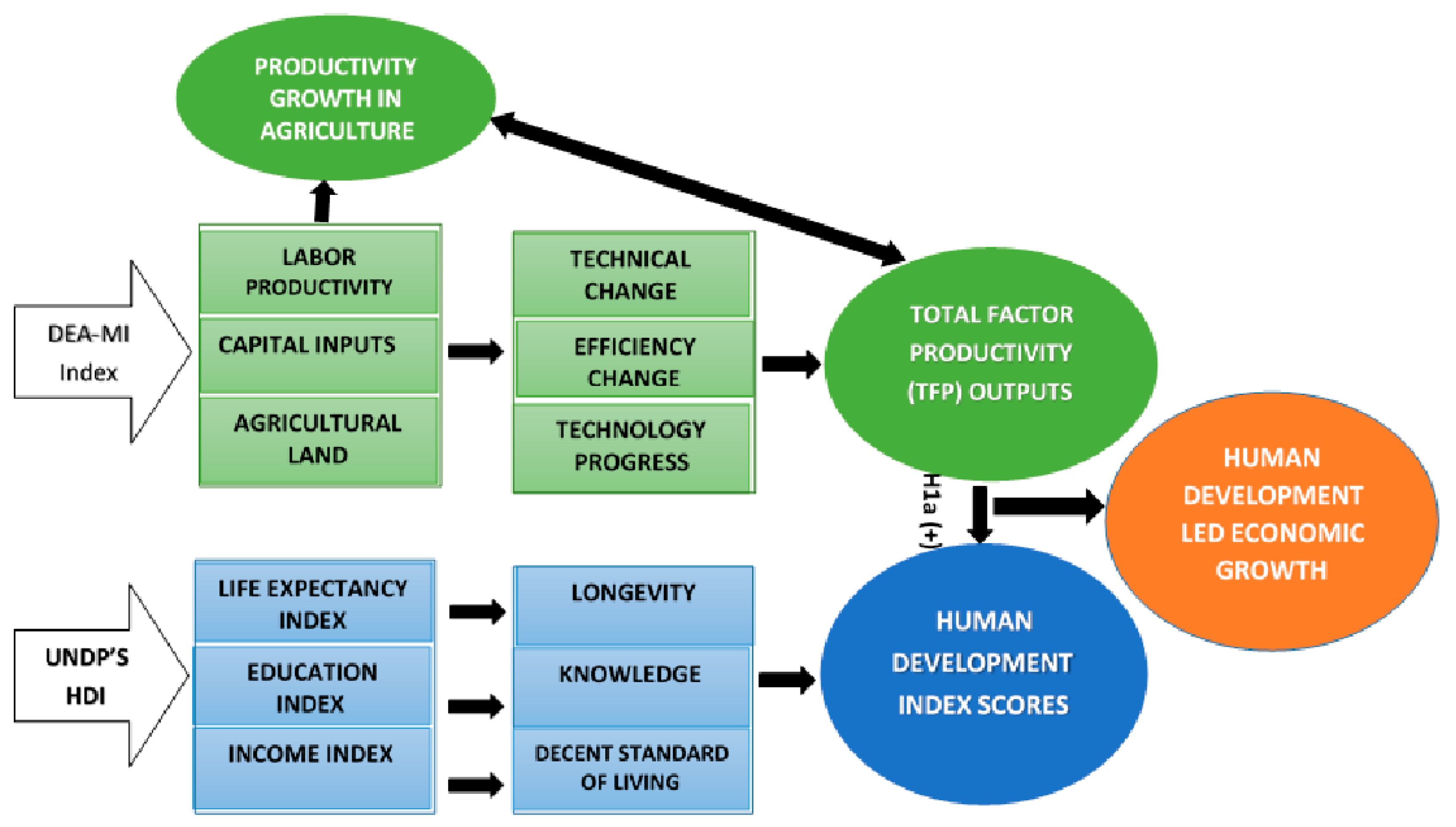 Sustainability 14 06411 g001