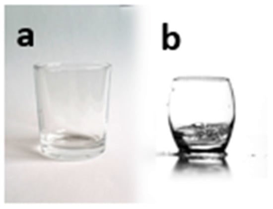 Sustainability 14 06454 g0a1 550