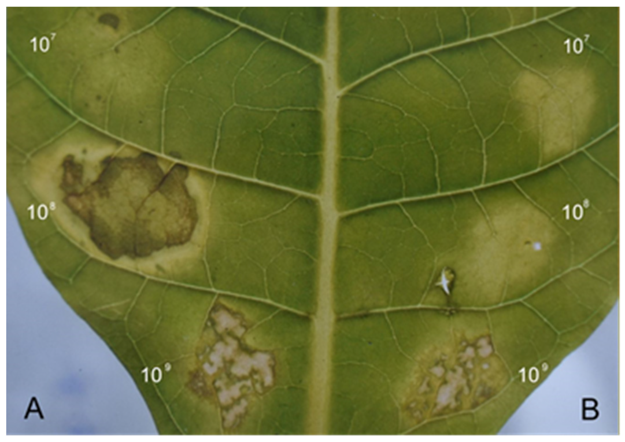 Sustainability 14 06458 g002