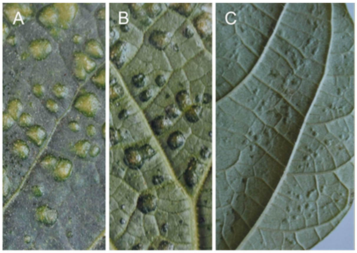 Sustainability 14 06458 g007