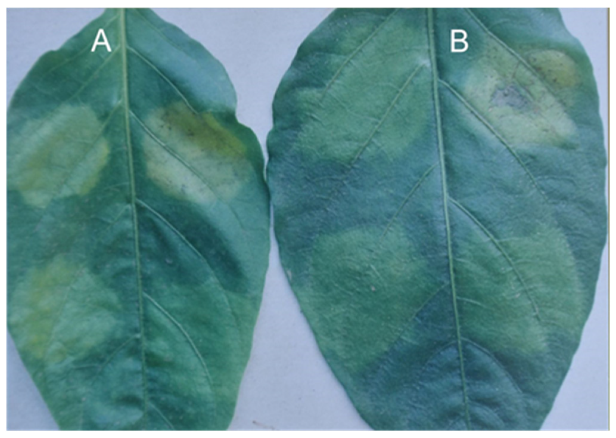 Sustainability 14 06458 g009