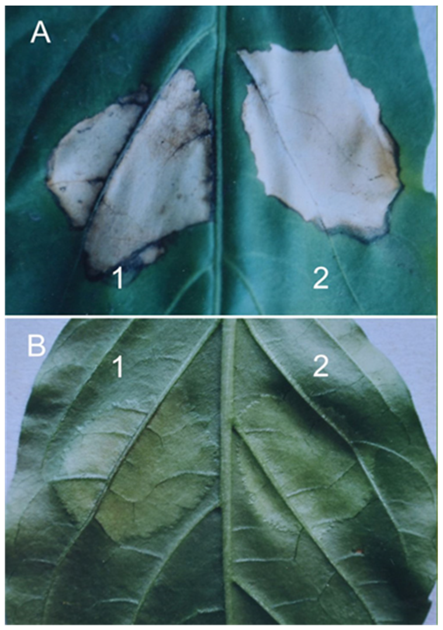 Sustainability 14 06458 g016