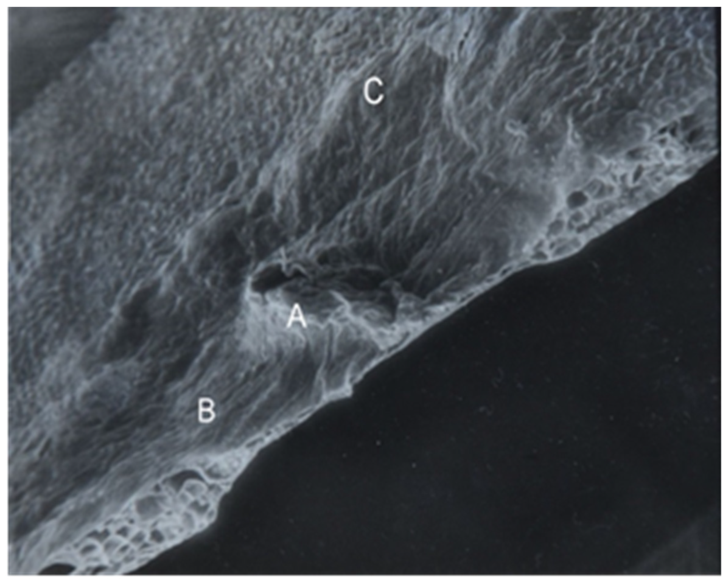 Sustainability 14 06458 g017