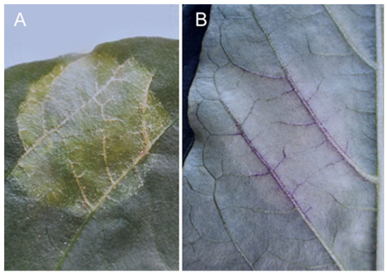 Sustainability 14 06458 g024