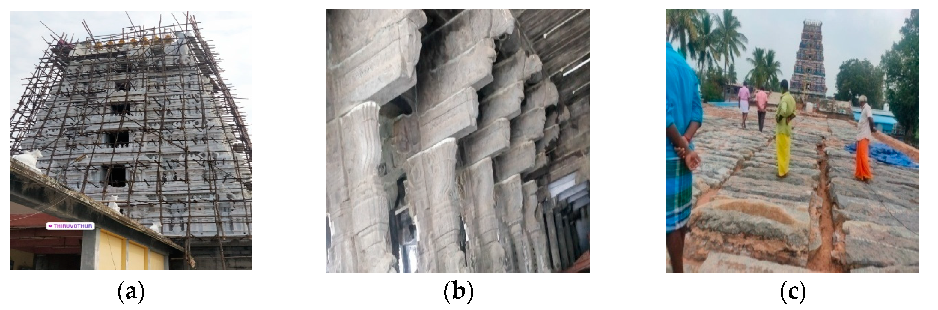 Sustainability 14 06481 g002