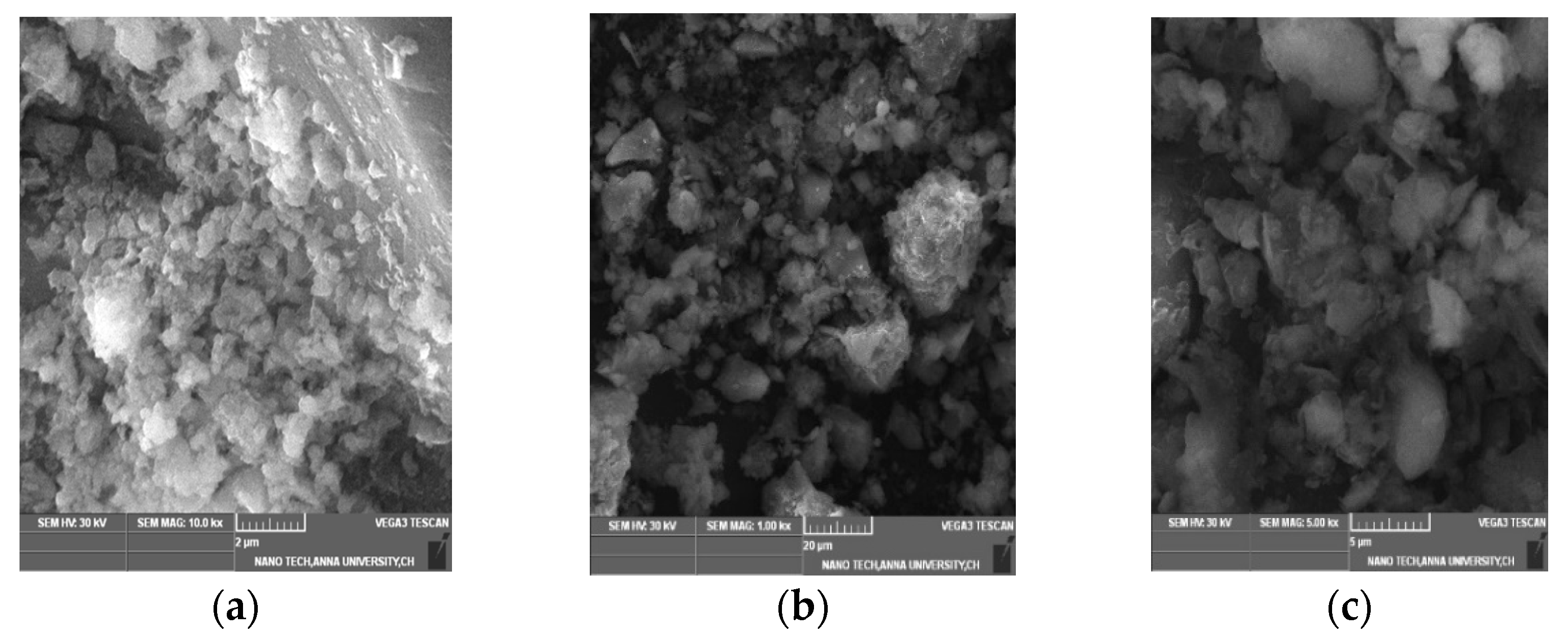 Sustainability 14 06481 g004