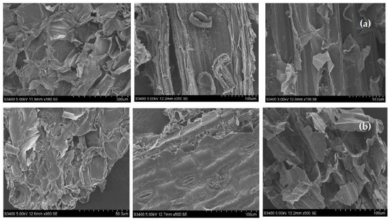 Sustainability 14 06497 g0a3 550