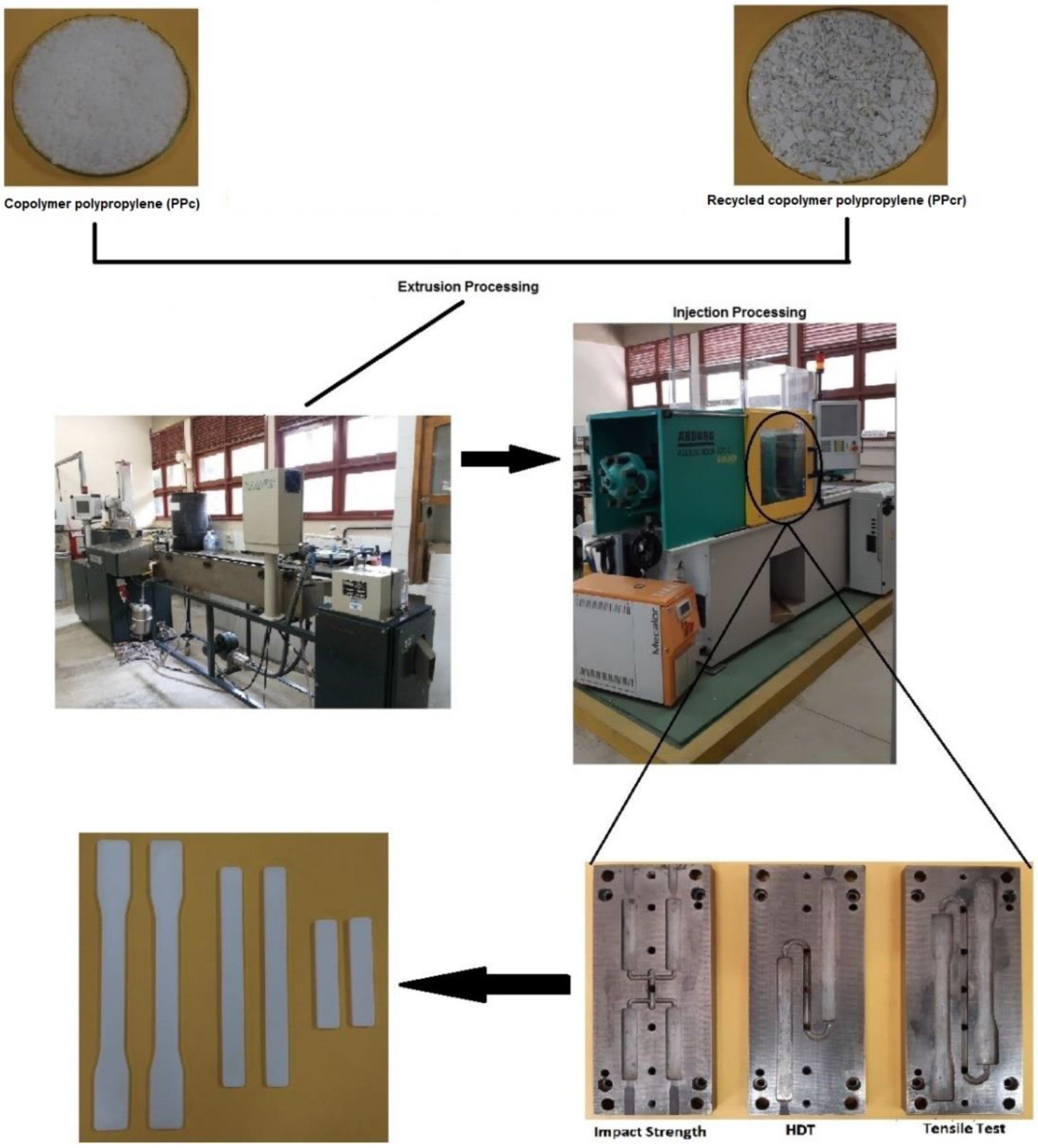 Sustainability 14 06509 g002