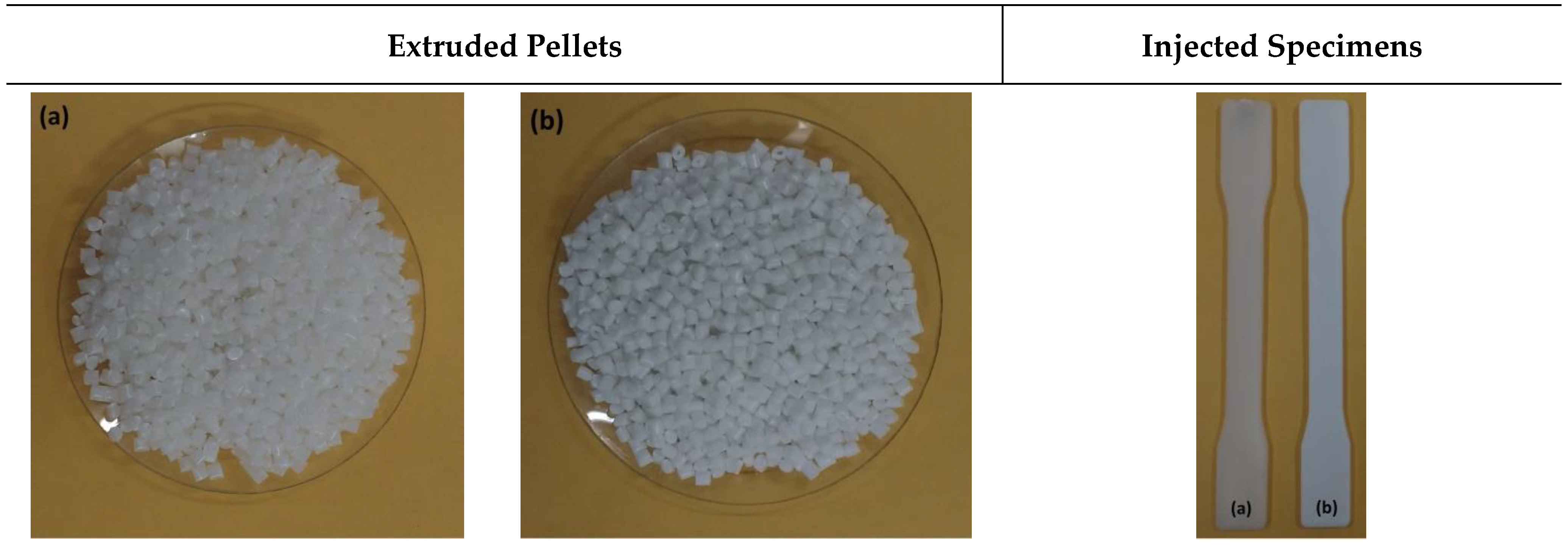Sustainability 14 06509 g003a