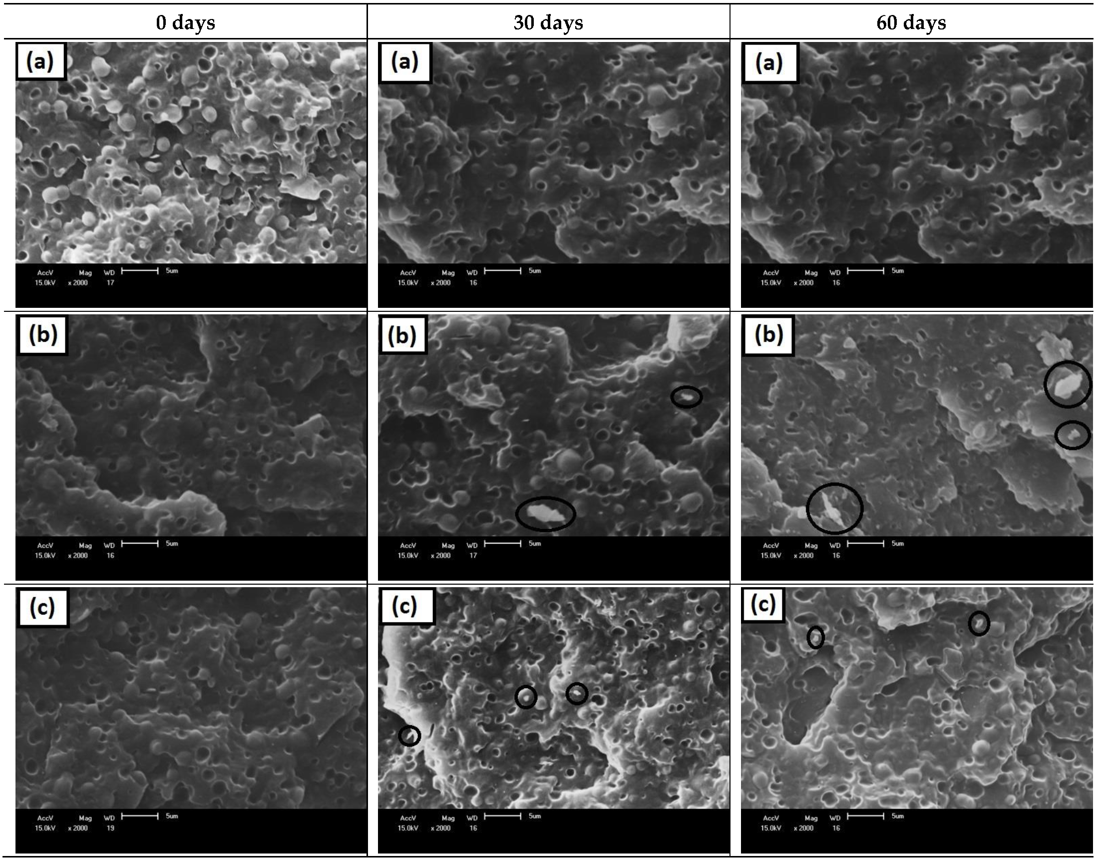 Sustainability 14 06509 g007a