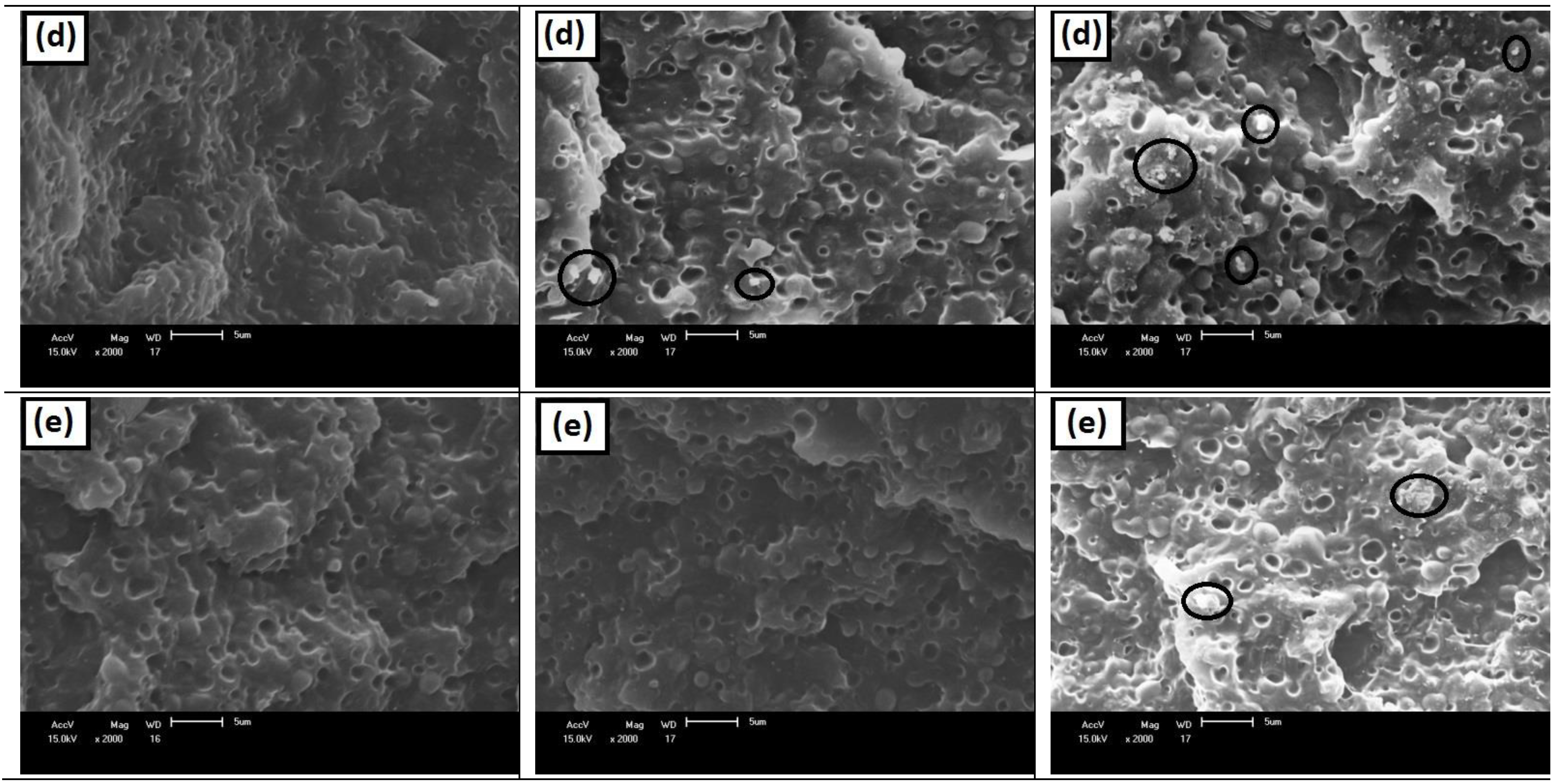 Sustainability 14 06509 g007b