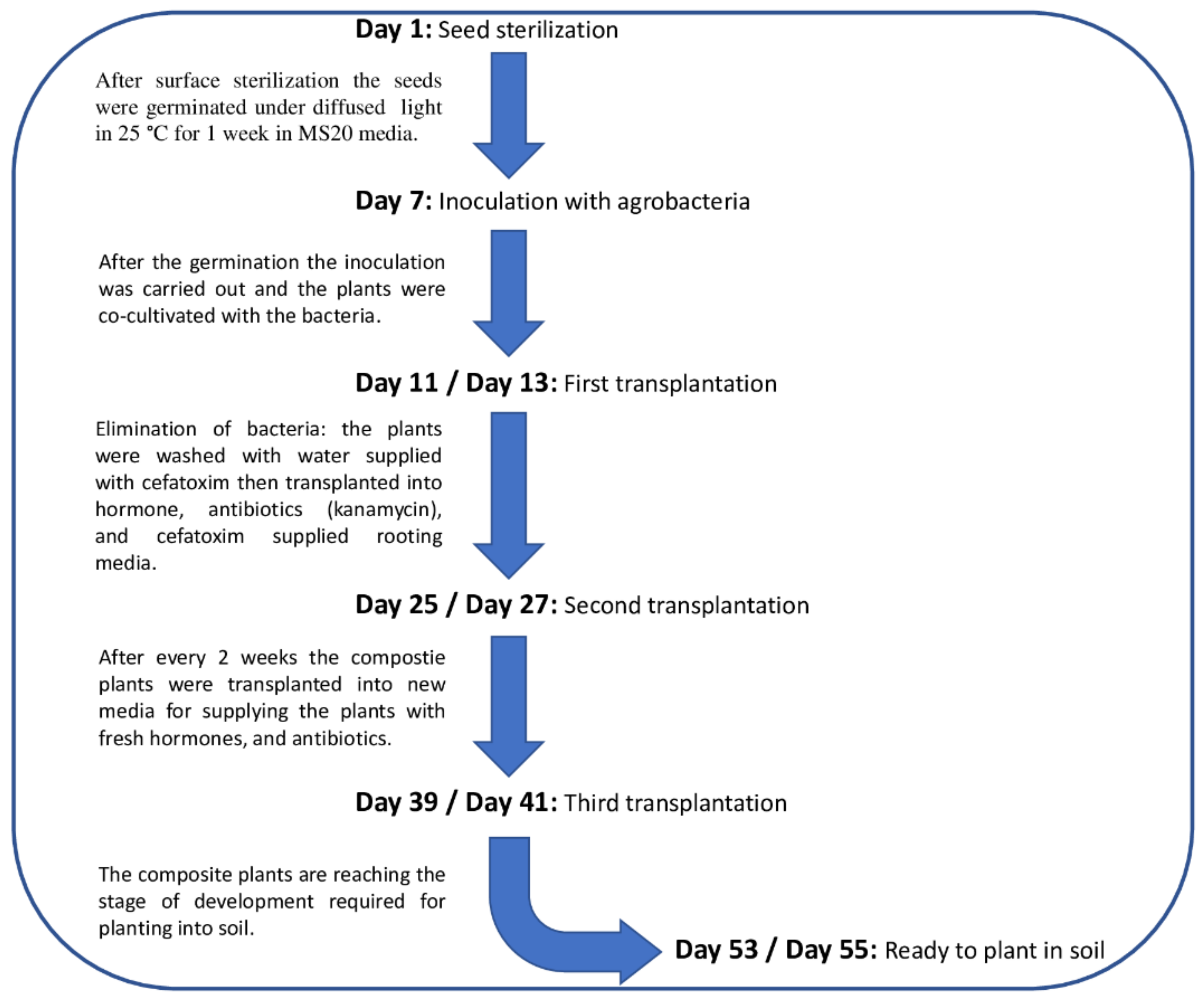Sustainability 14 06525 g001