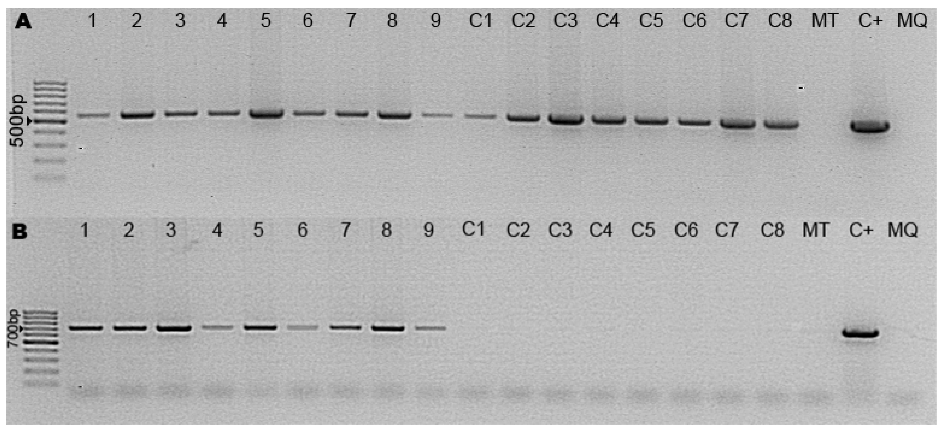 Sustainability 14 06525 g005