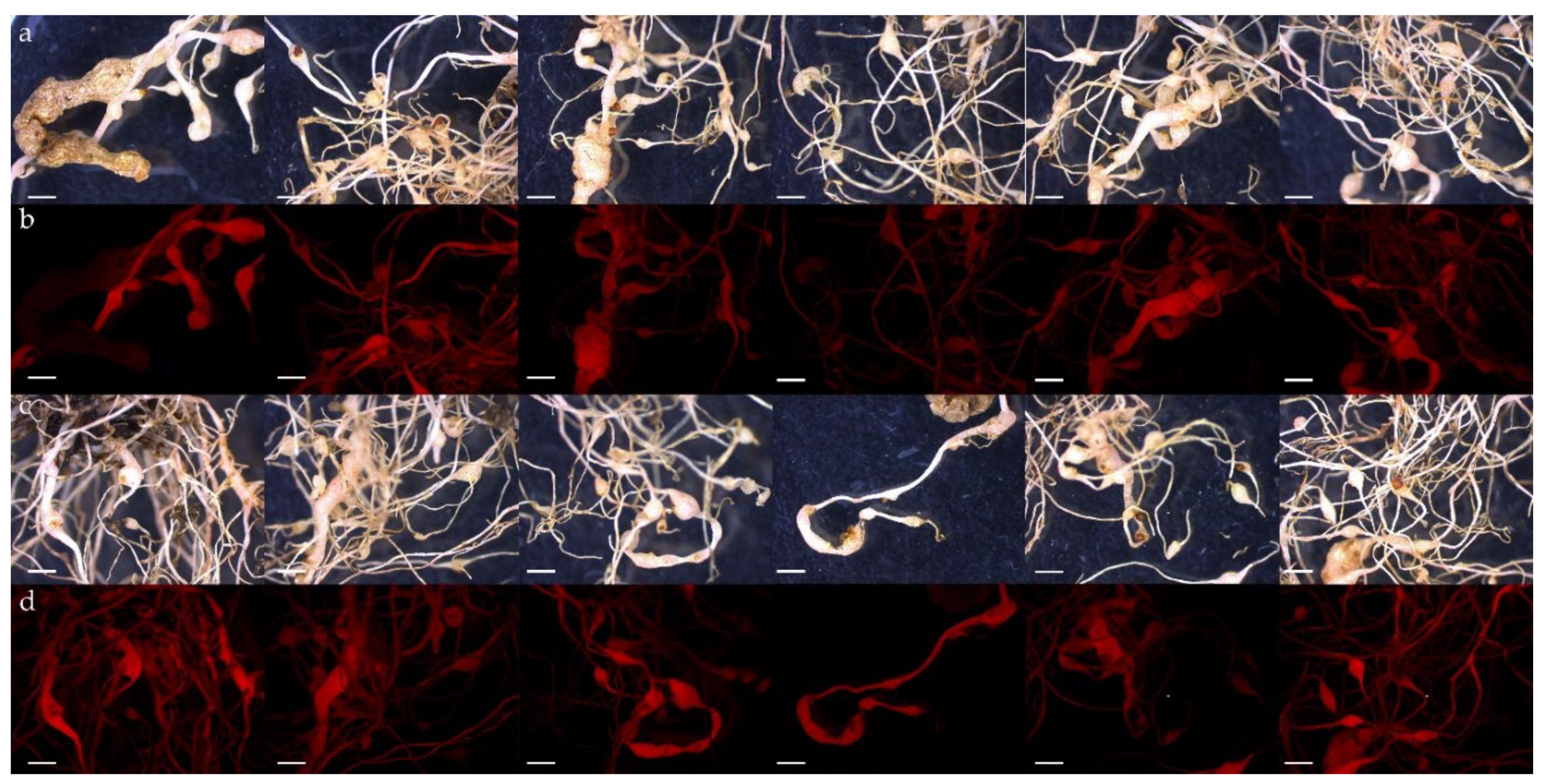 Sustainability 14 06525 g006