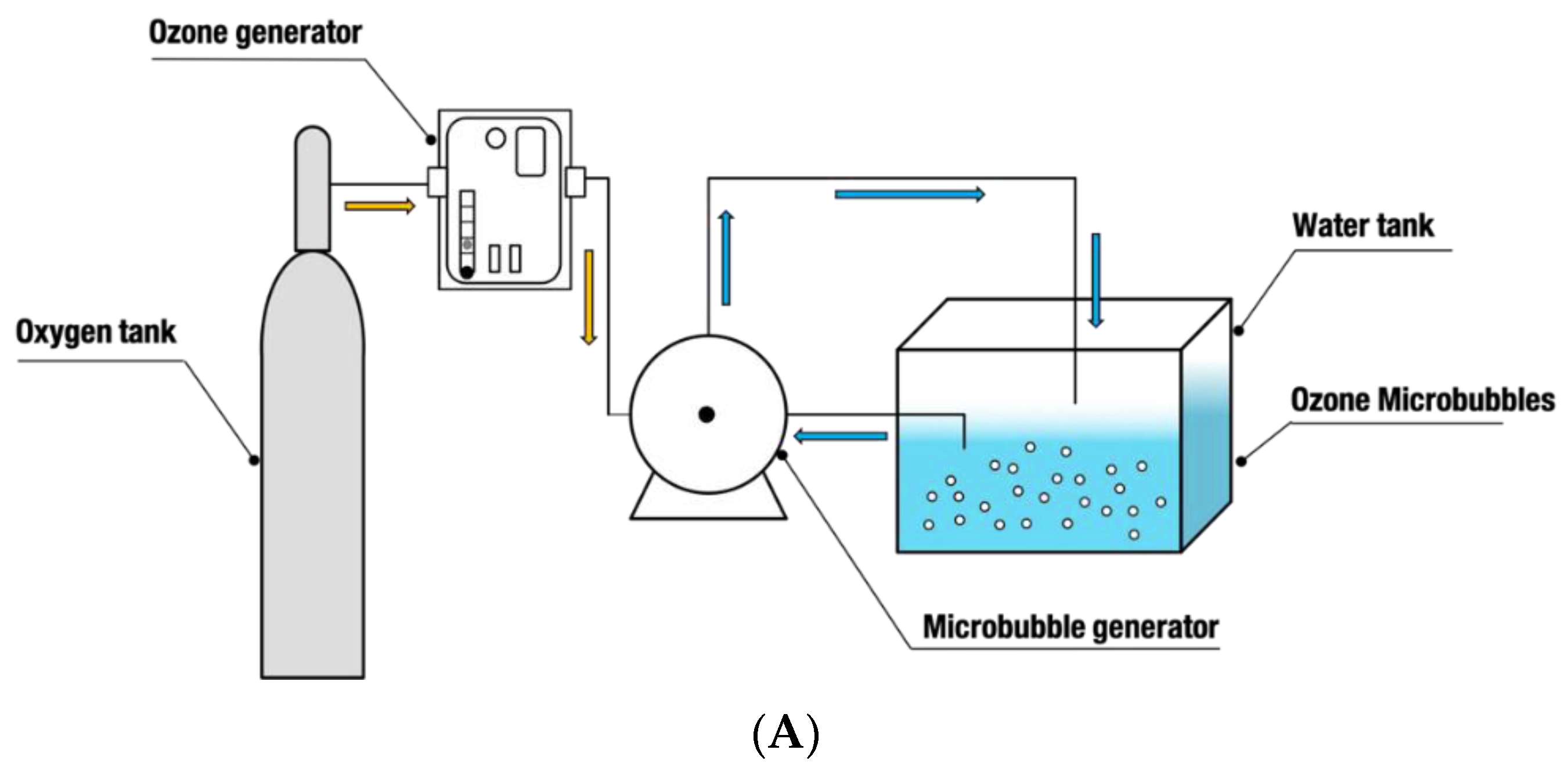 Sustainability 14 06549 g001a