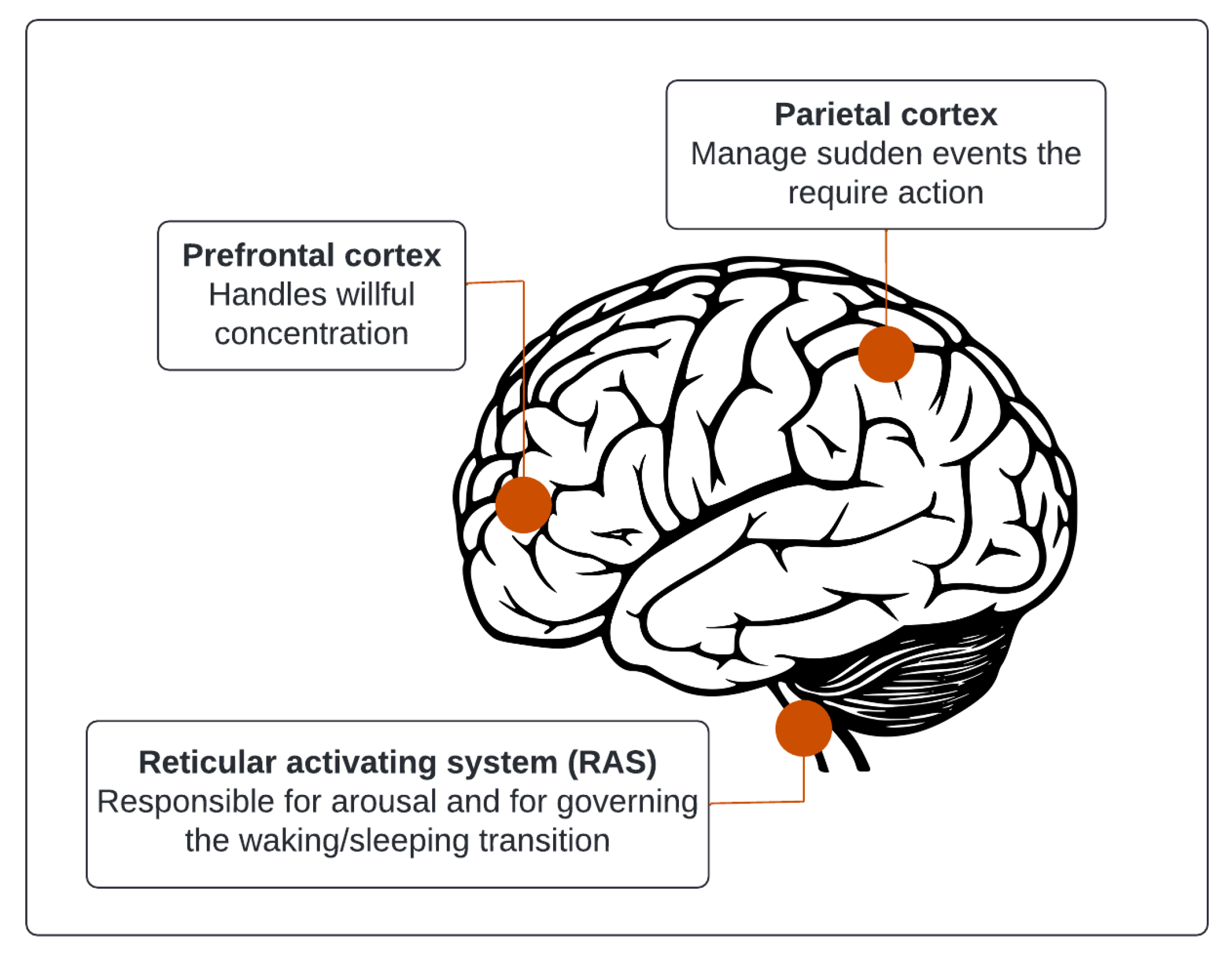 Sustainability 14 06553 g001 Sustainability 14 06553 g001