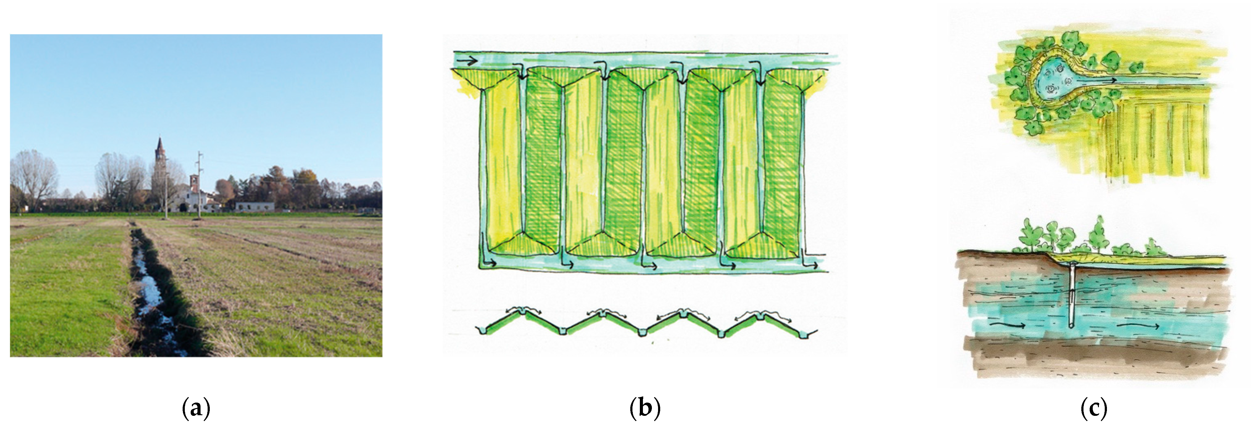 Sustainability 14 06581 g010
