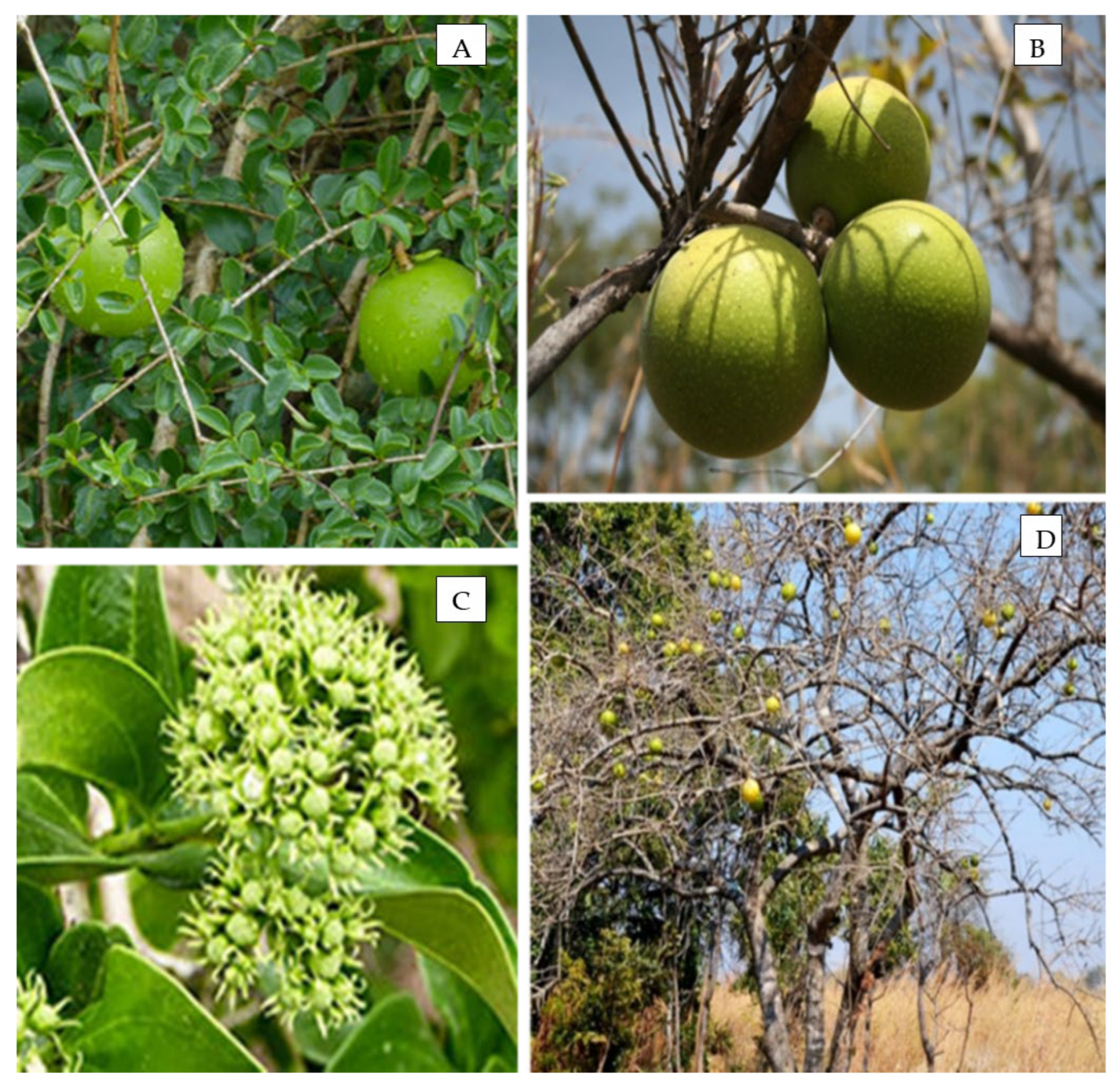 Sustainability 14 06623 g001