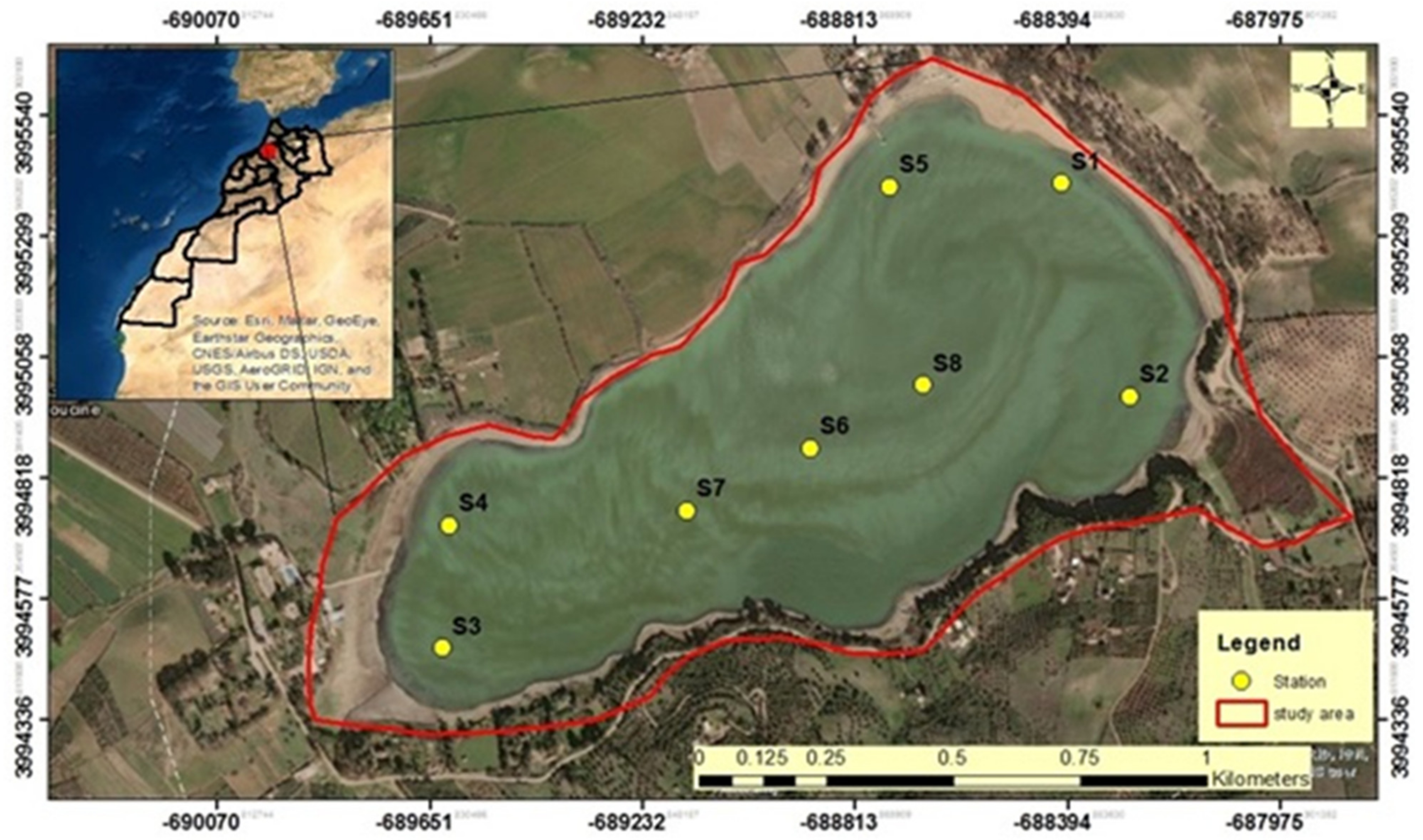 Sustainability 14 06689 g001