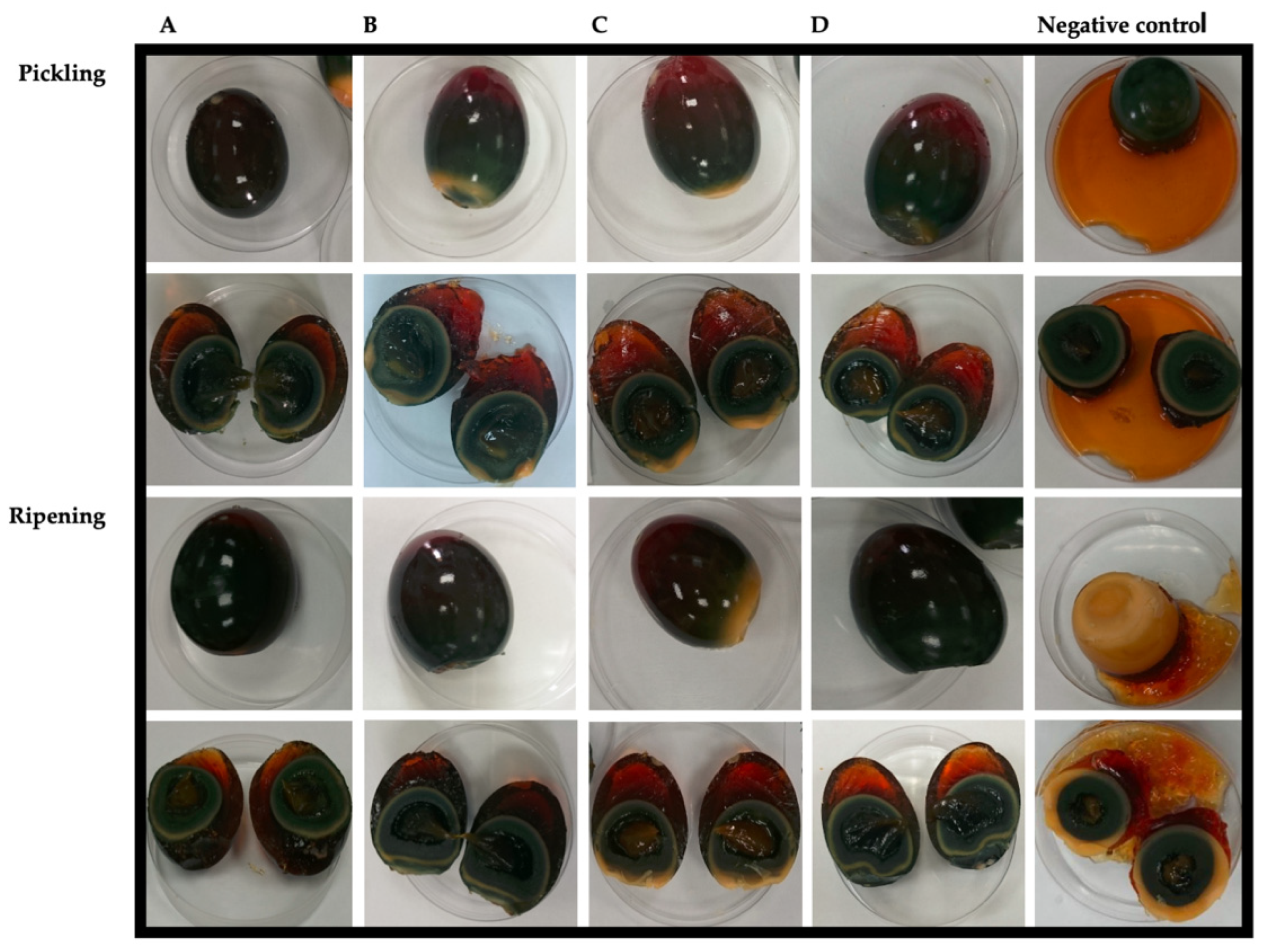 Sustainability 14 06797 g001