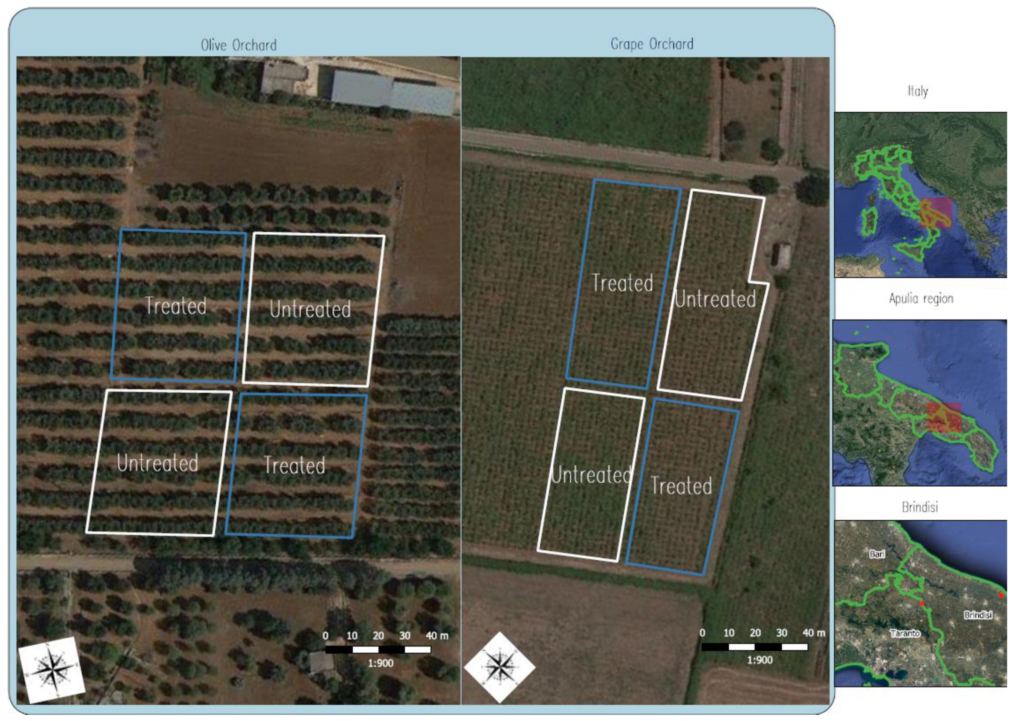 Sustainability 14 06816 g002