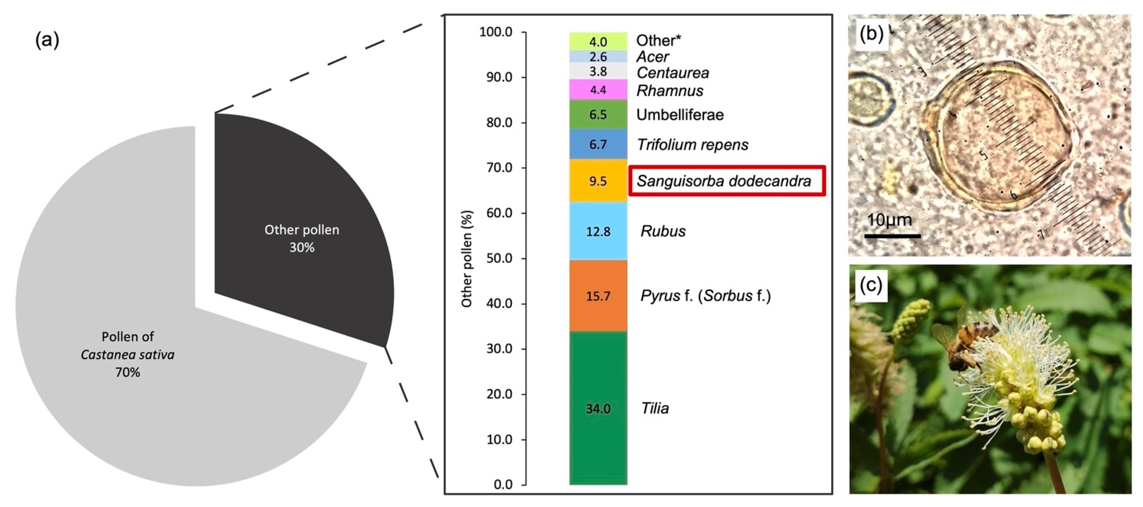 Sustainability 14 06825 g005