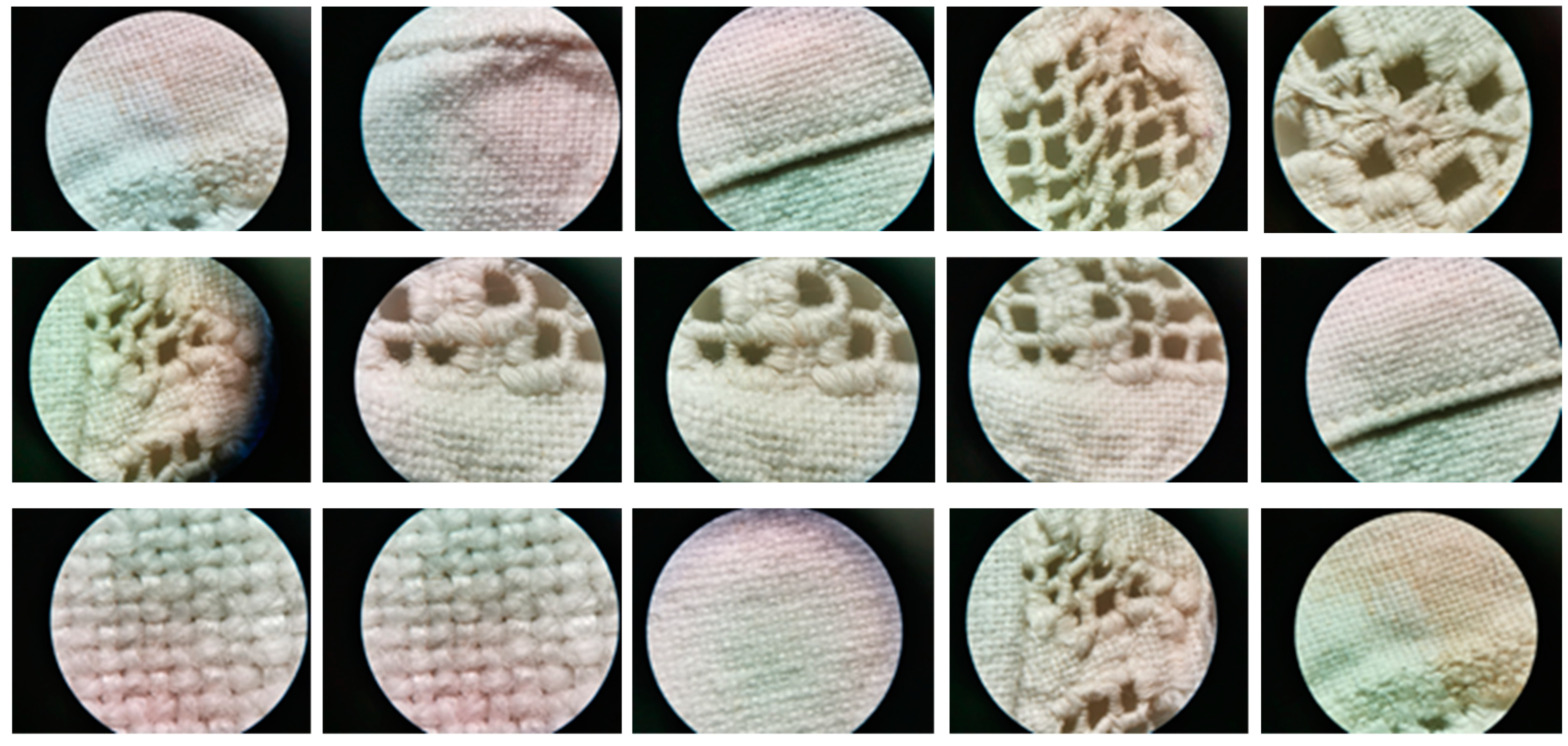 Sustainability 14 06859 g002