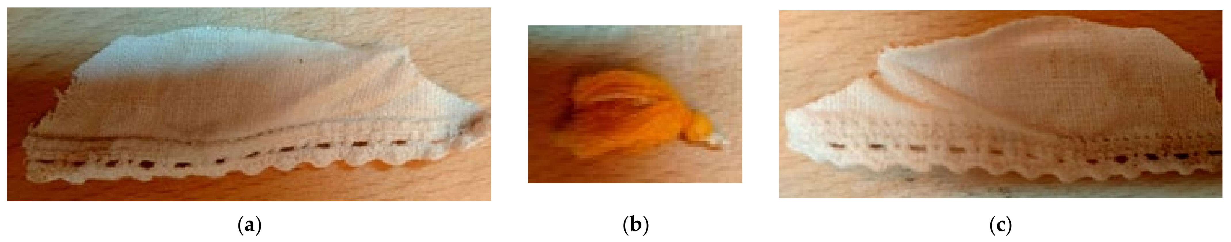 Sustainability 14 06859 g003