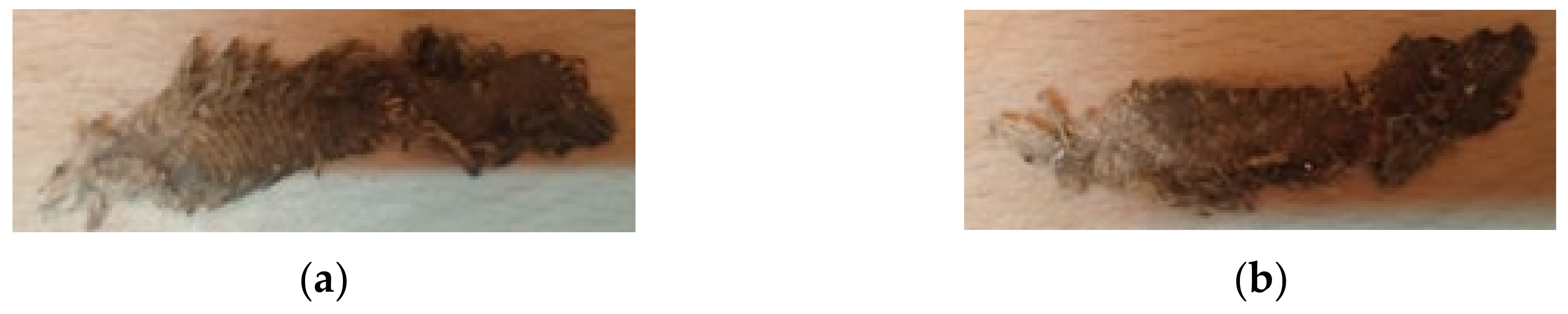 Sustainability 14 06859 g009