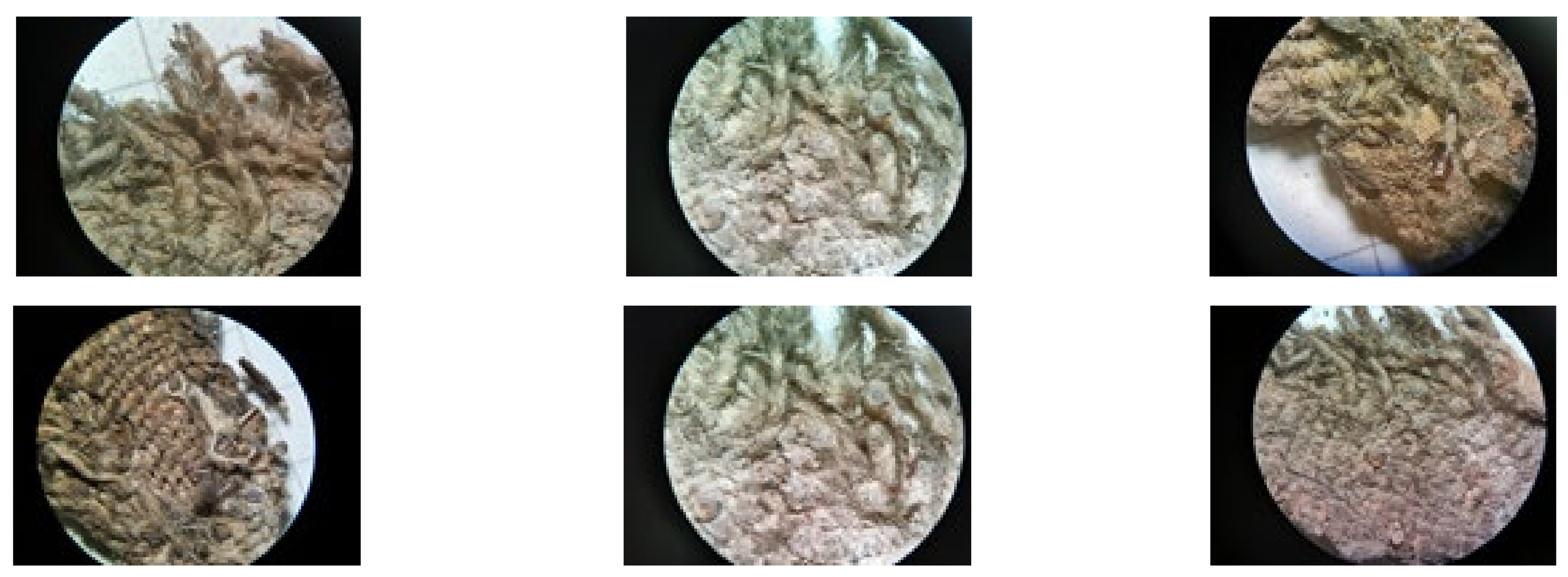 Sustainability 14 06859 g010