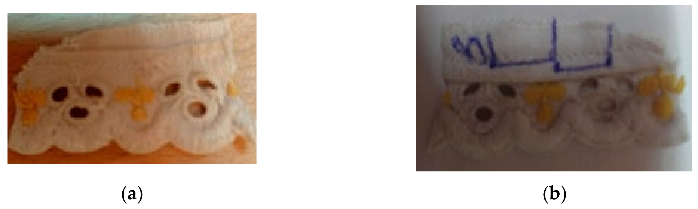 Sustainability 14 06859 g011