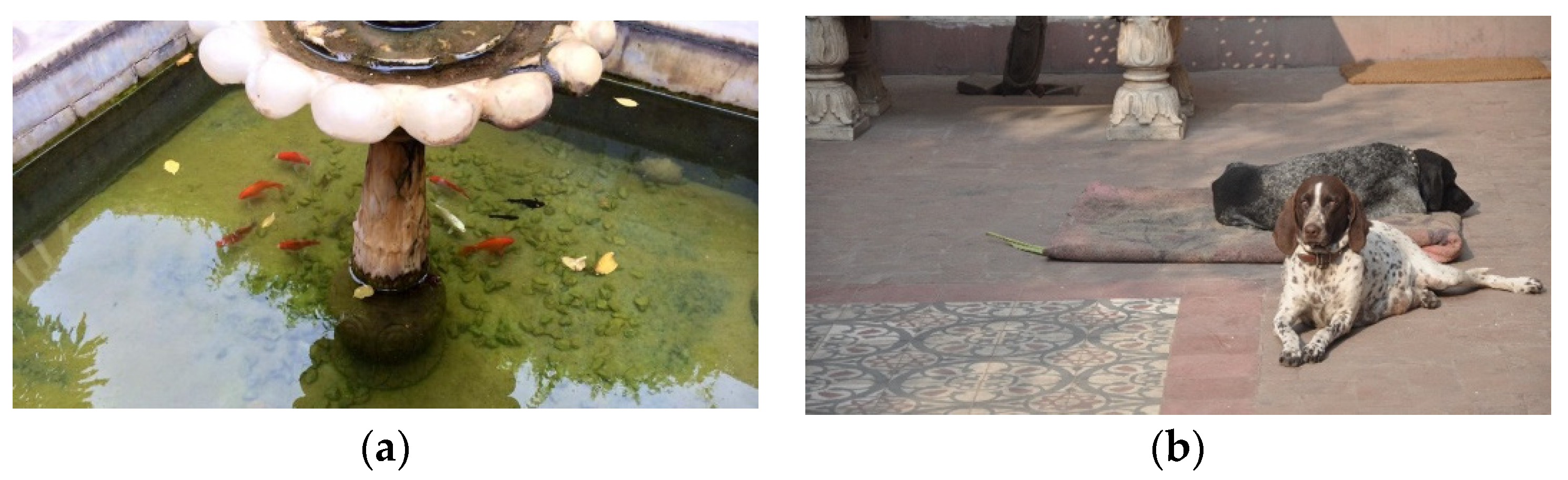 Sustainability 14 06894 g019