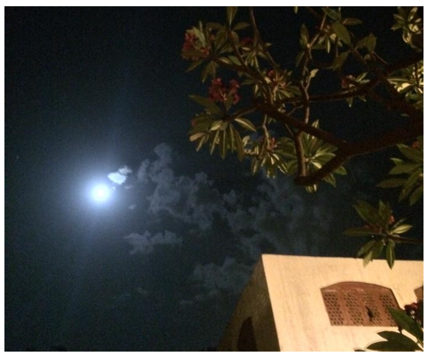 Sustainability 14 06894 g021