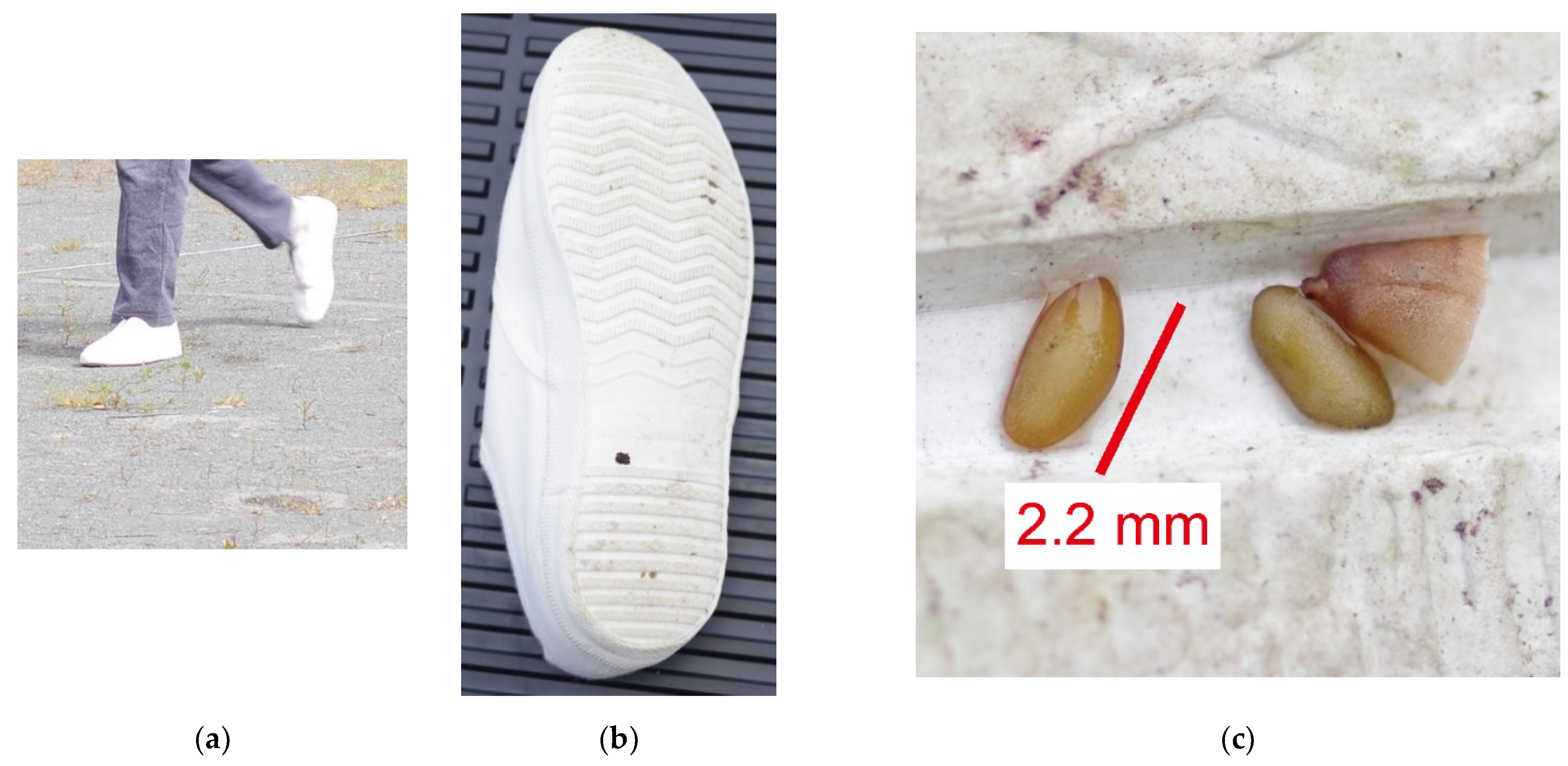Sustainability 14 06909 g002 Sustainability 14 06909 g002