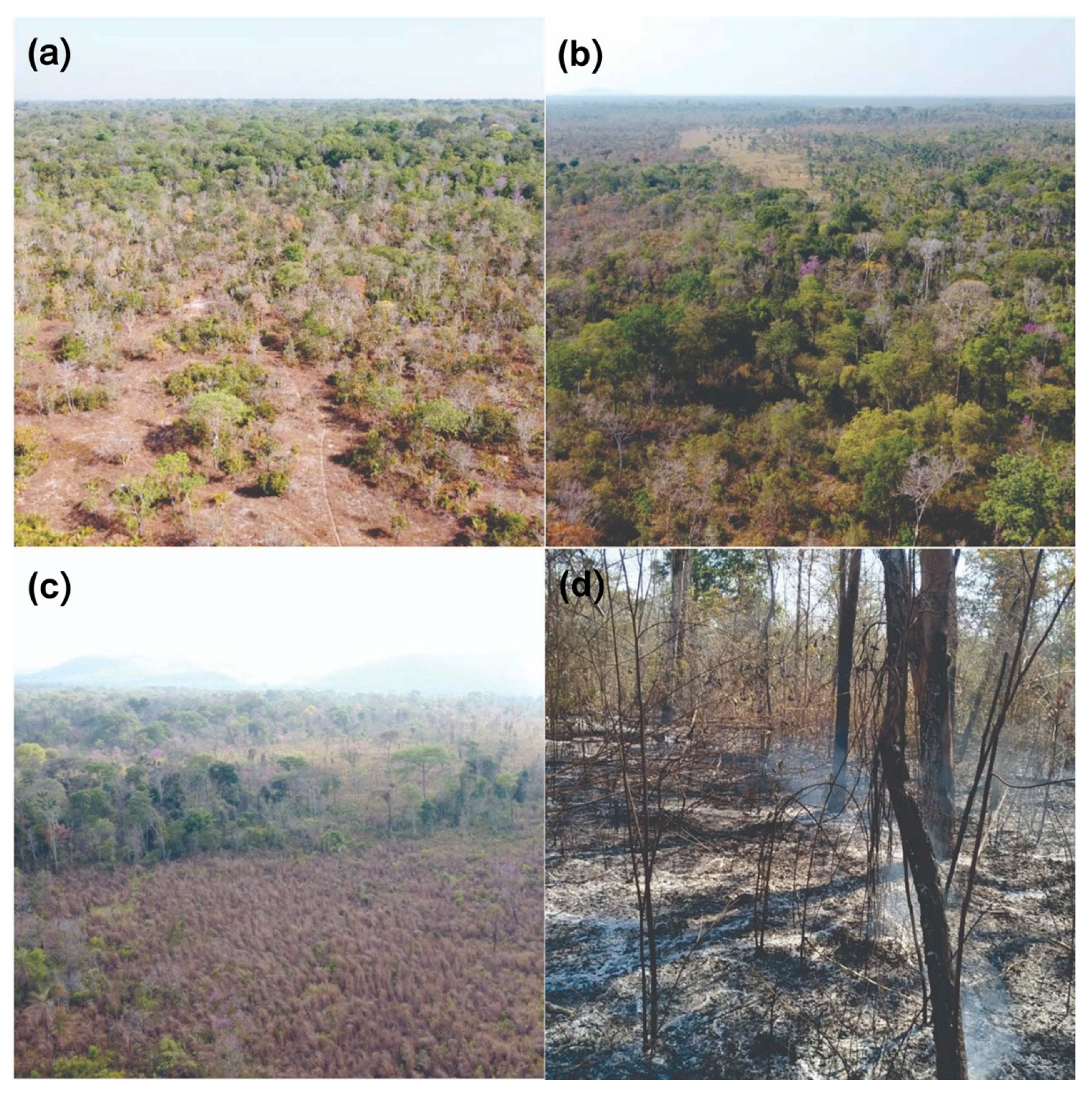 Sustainability 14 06919 g001