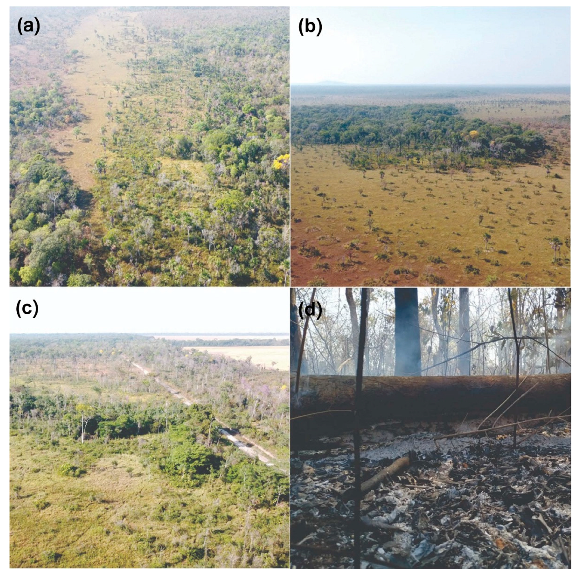 Sustainability 14 06919 g002