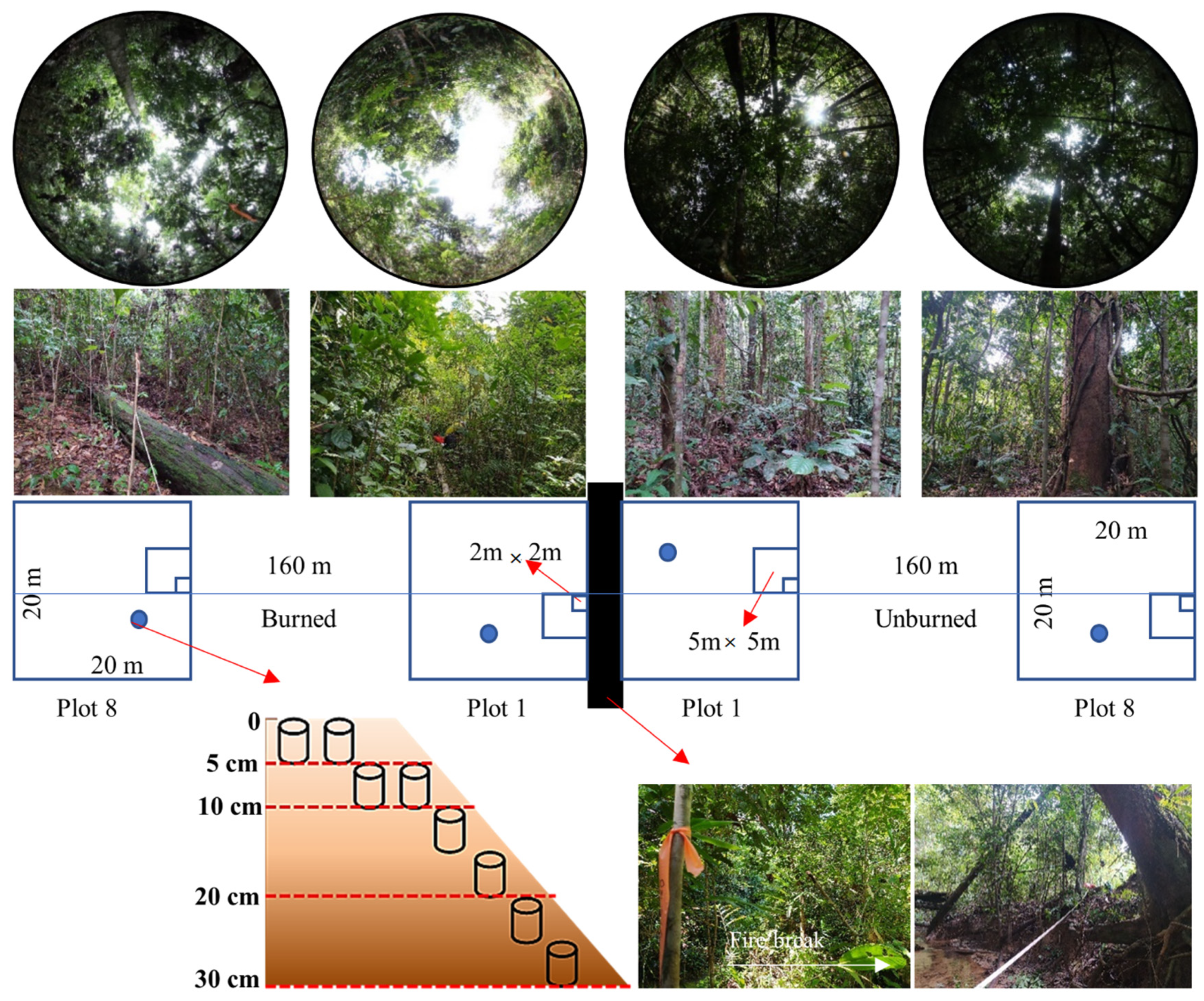 Sustainability 14 06964 g002