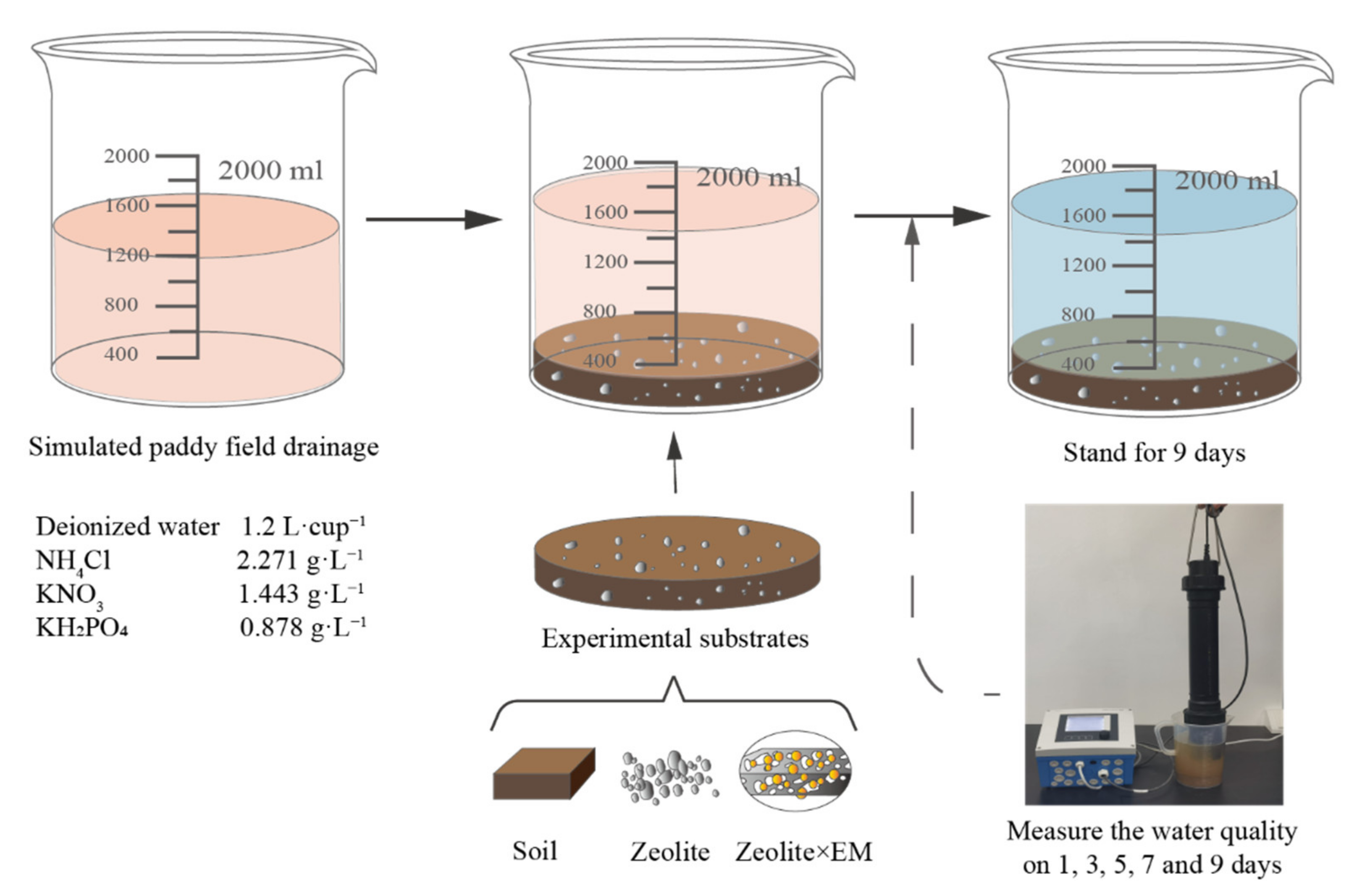 Sustainability 14 06992 g001
