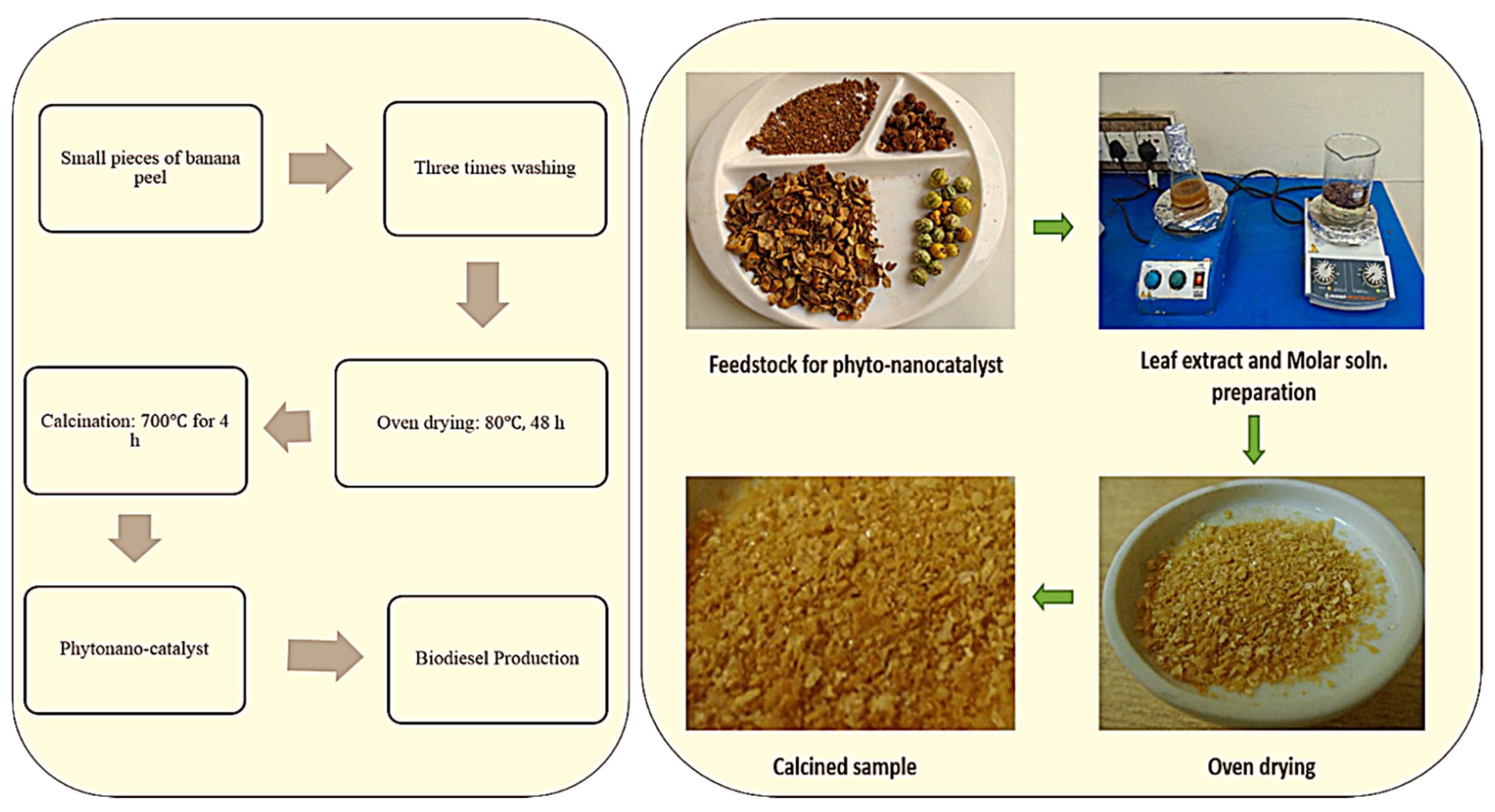 Sustainability 14 07032 g008