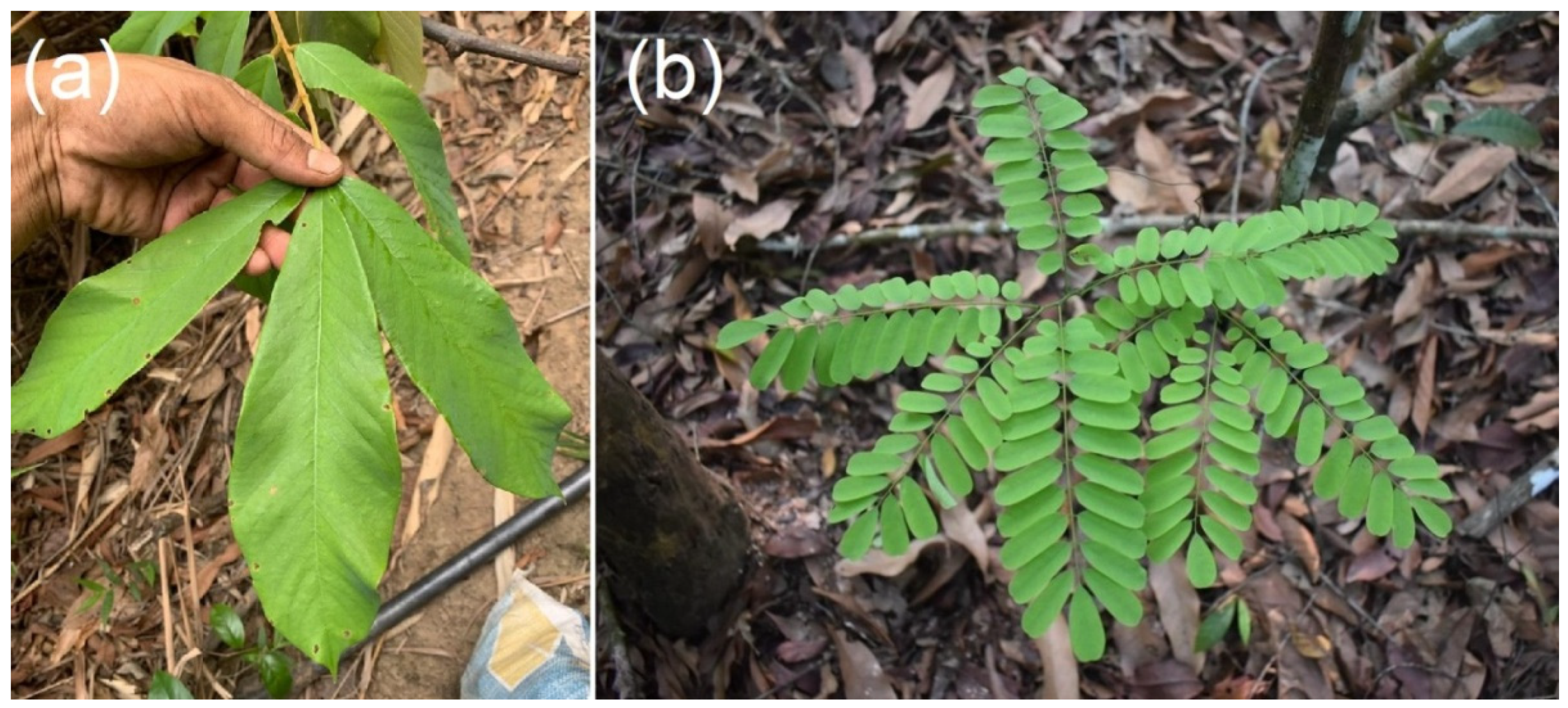 Sustainability 14 07049 g002