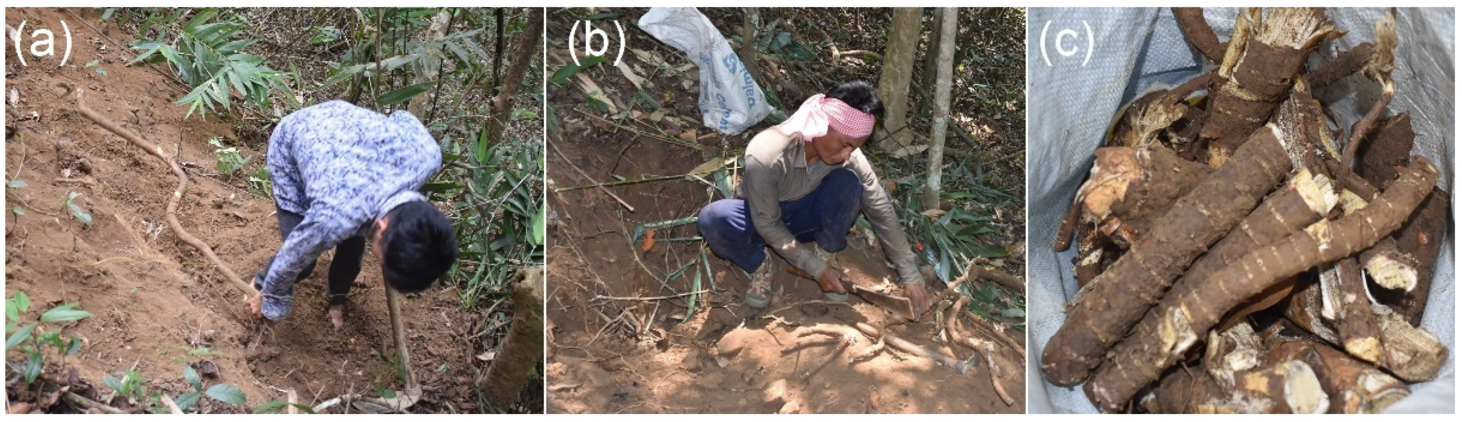 Sustainability 14 07049 g003