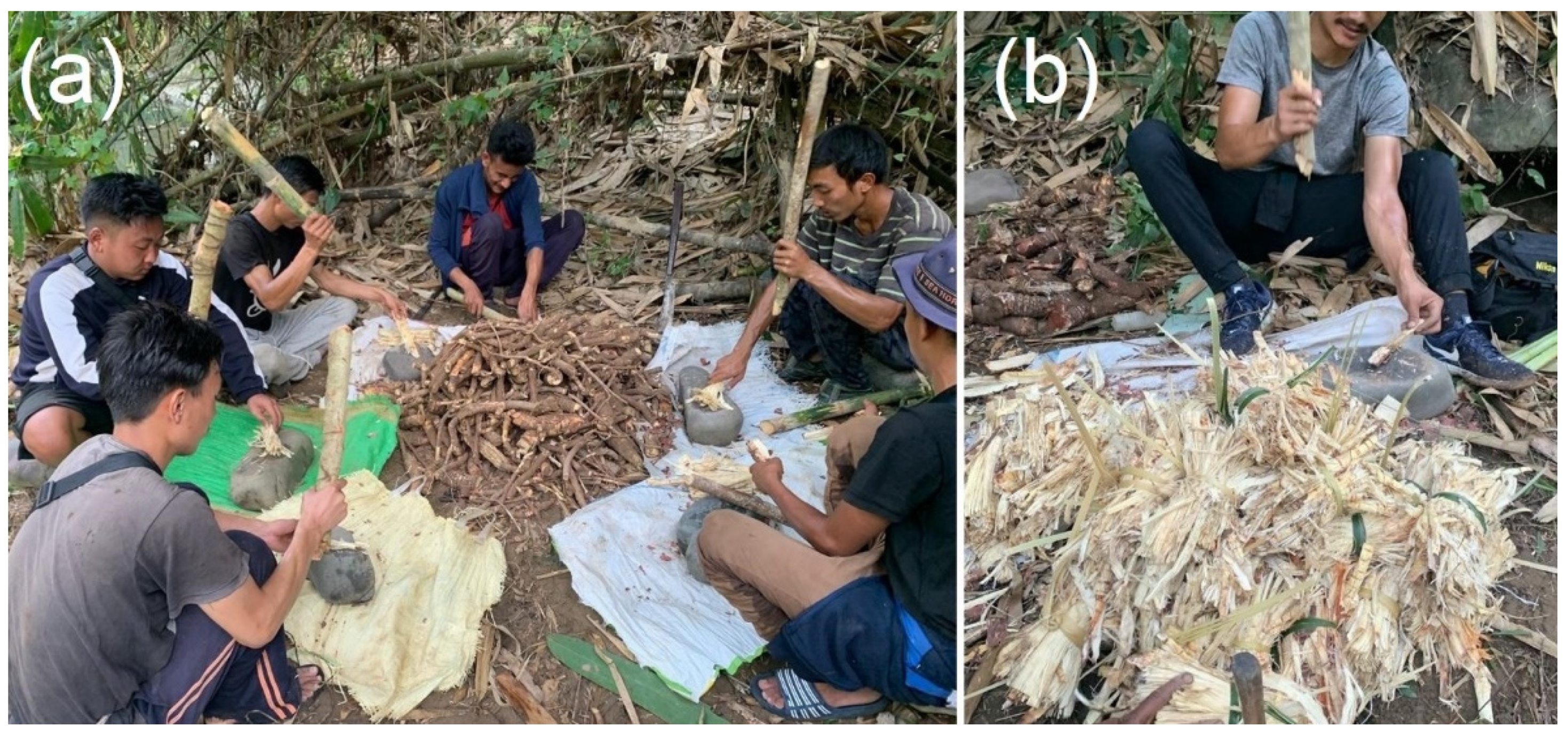 Sustainability 14 07049 g004