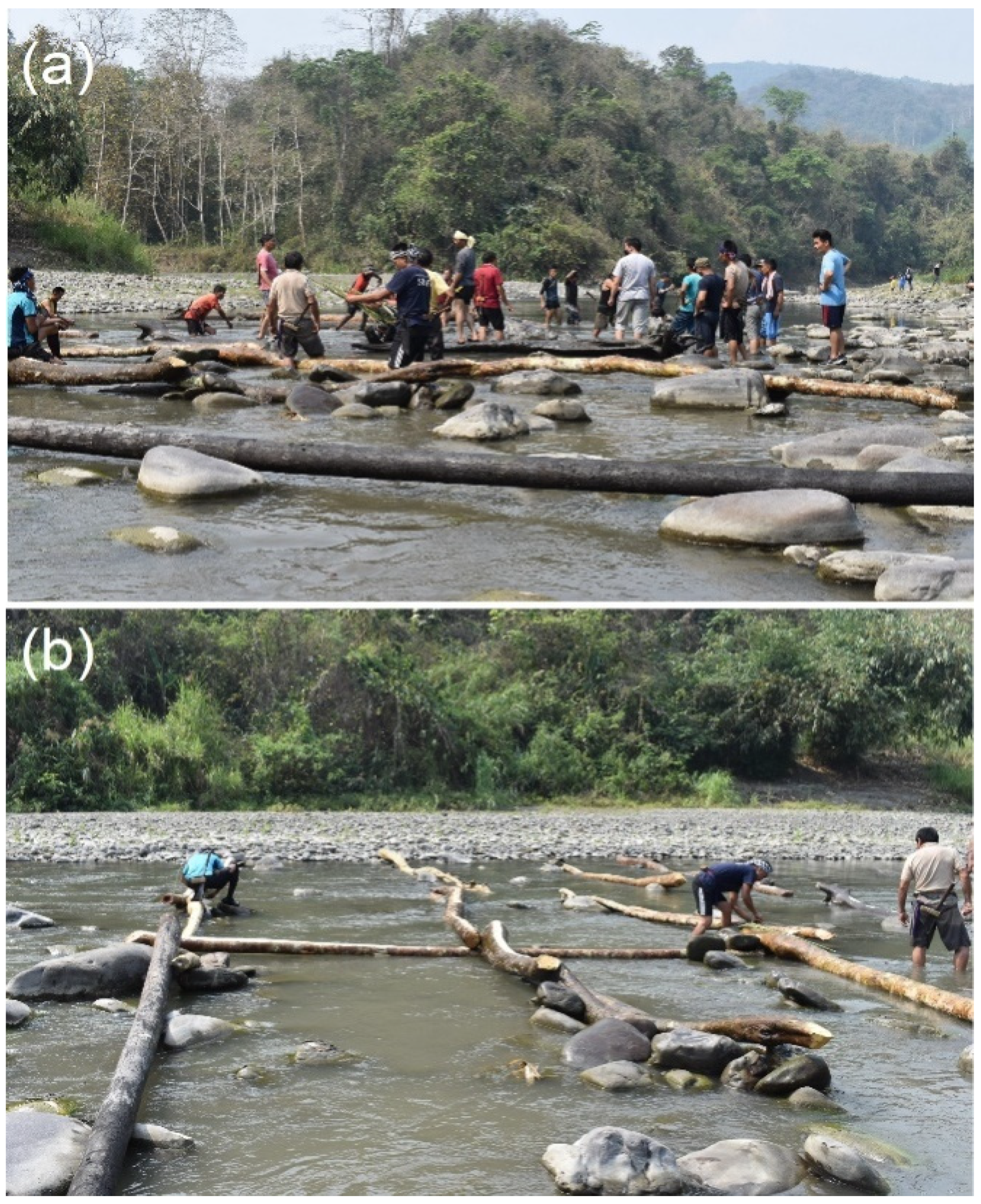 Sustainability 14 07049 g005