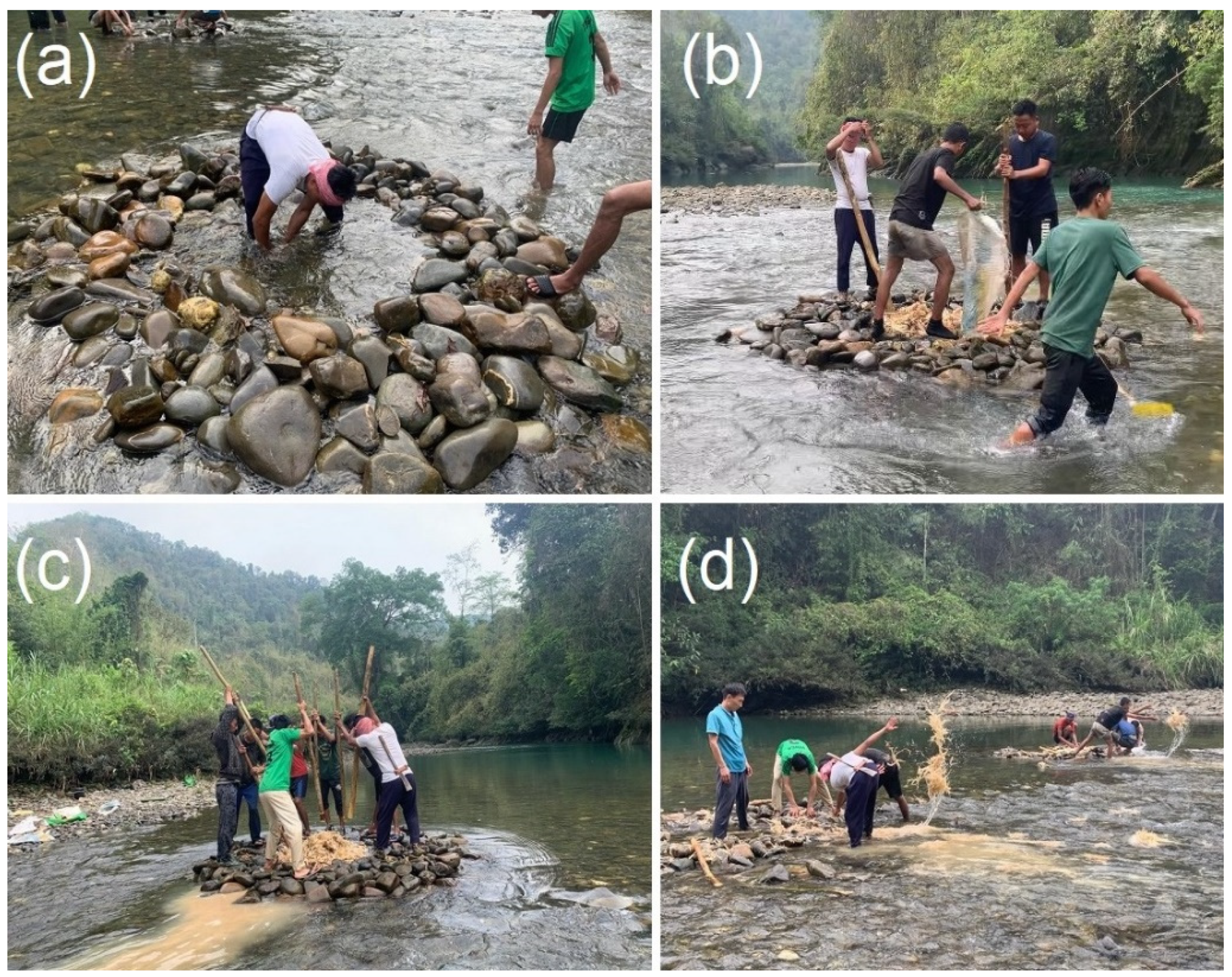 Sustainability 14 07049 g008