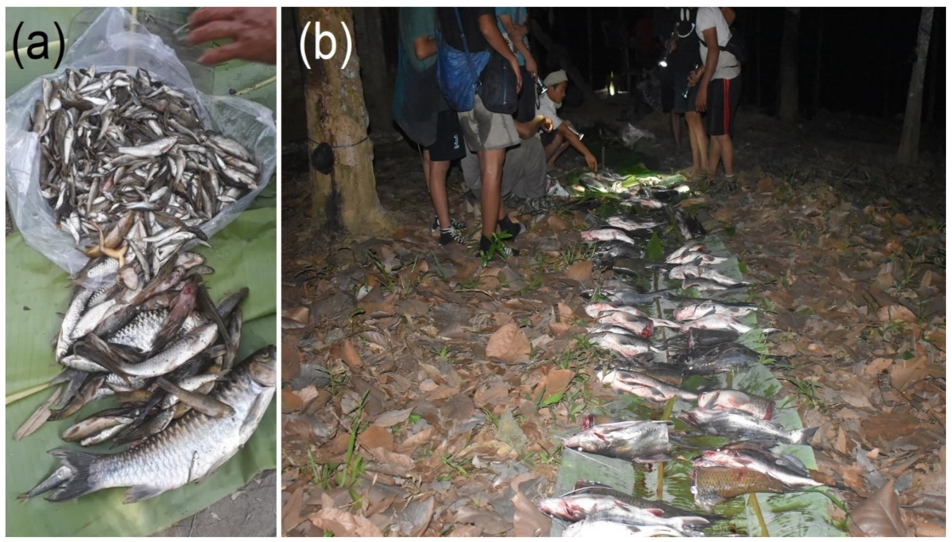 Sustainability 14 07049 g010