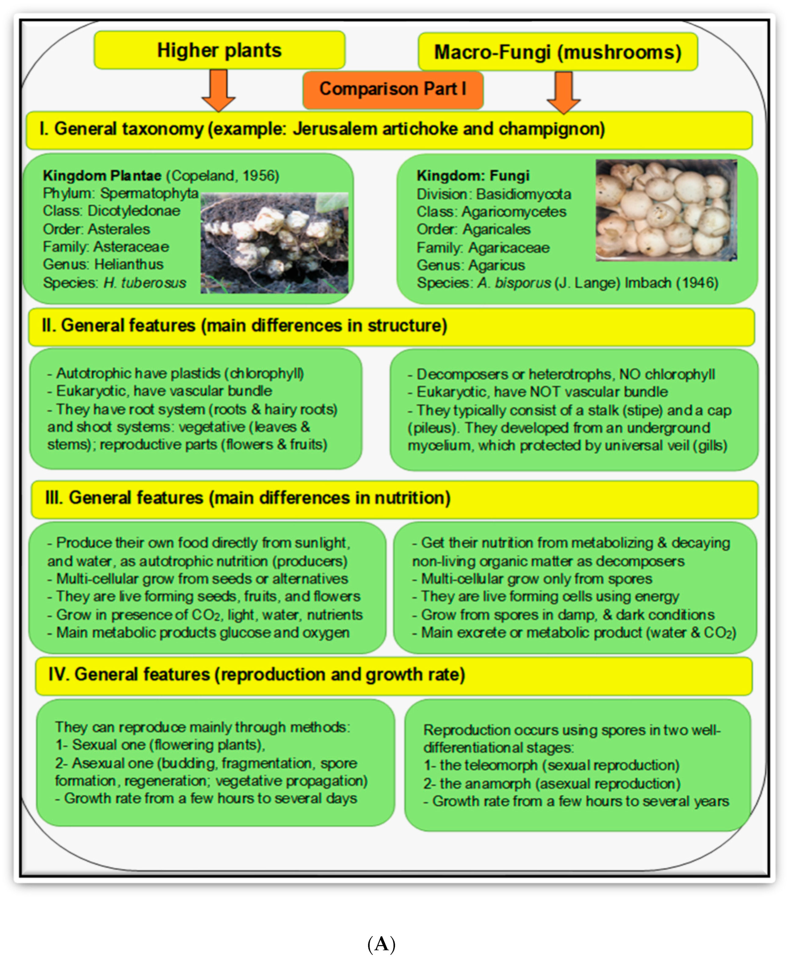 Sustainability 14 07104 g006a