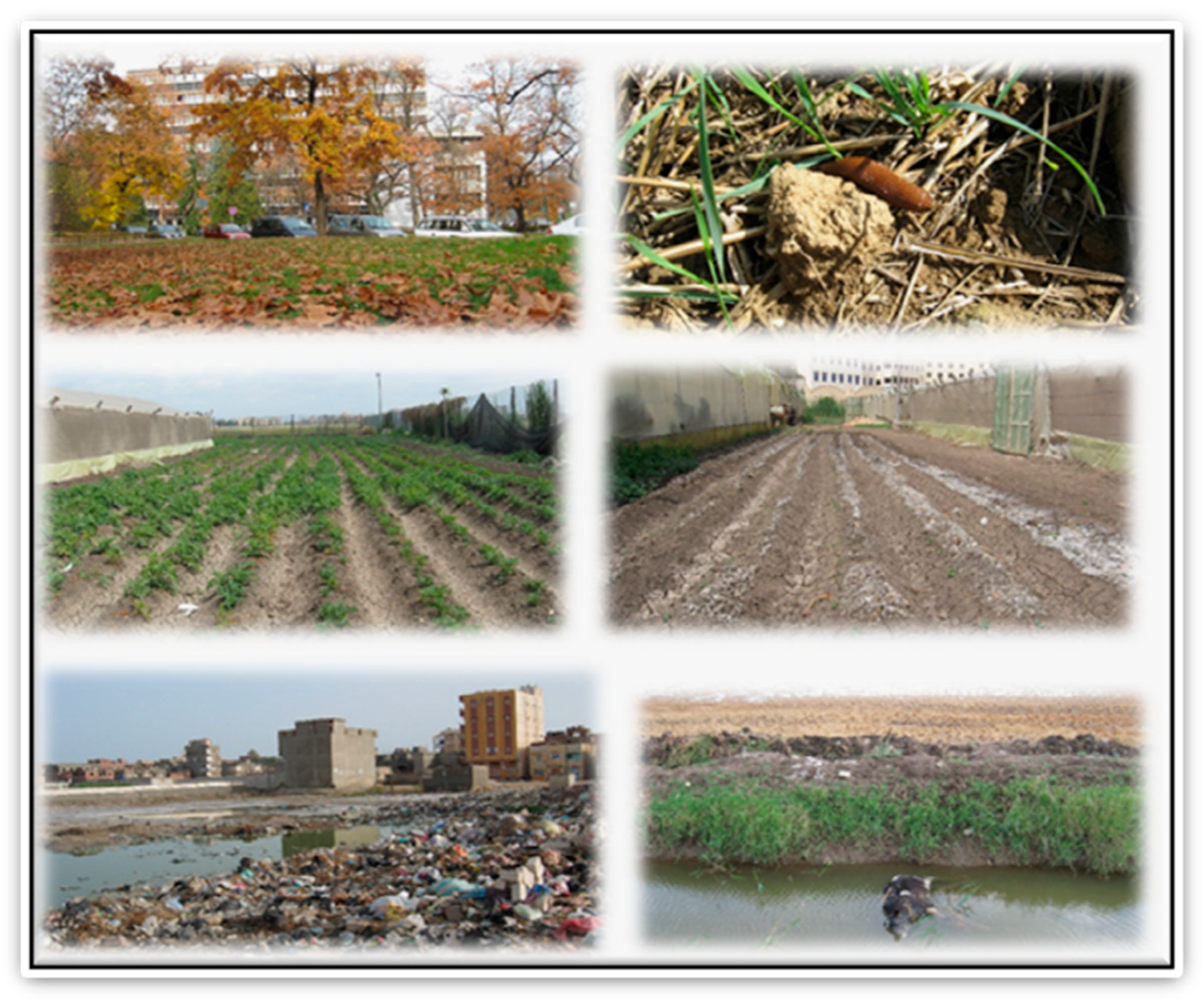 Sustainability 14 07104 g009